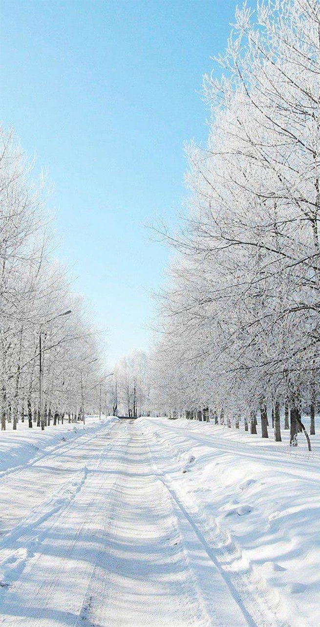 winter, snow, winter aesthetic #winter. iPhone wallpaper winter, Winter scenery, Winter wallpaper hd