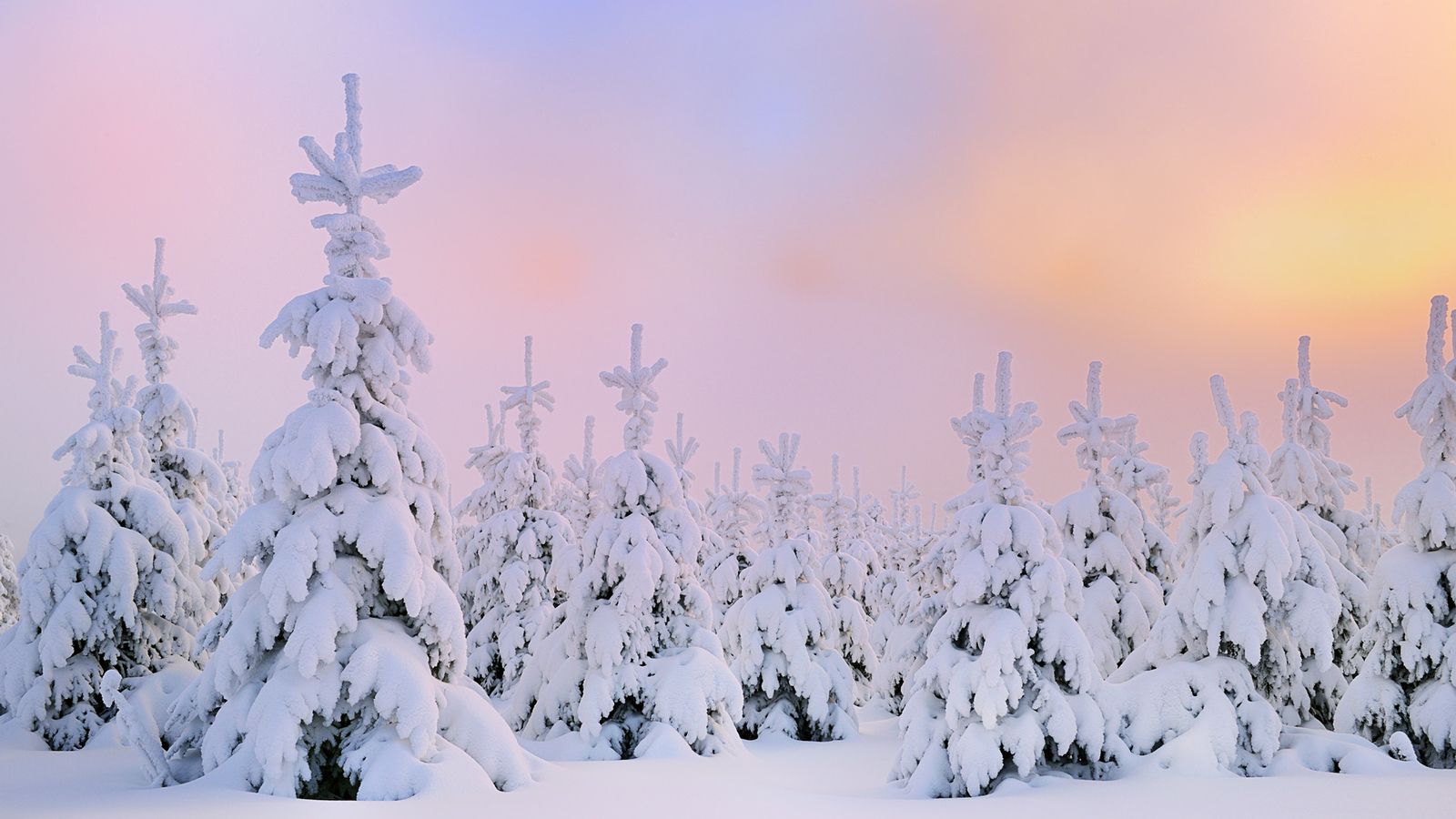 Snow Desktop Wallpaper