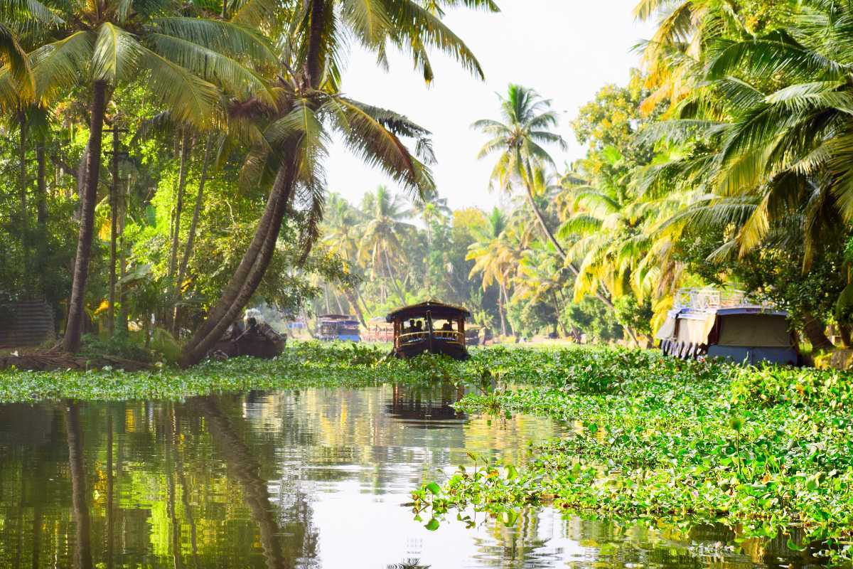 Alleppey Image > See Original Photo & Gallery Of Allapuzha @Holidify