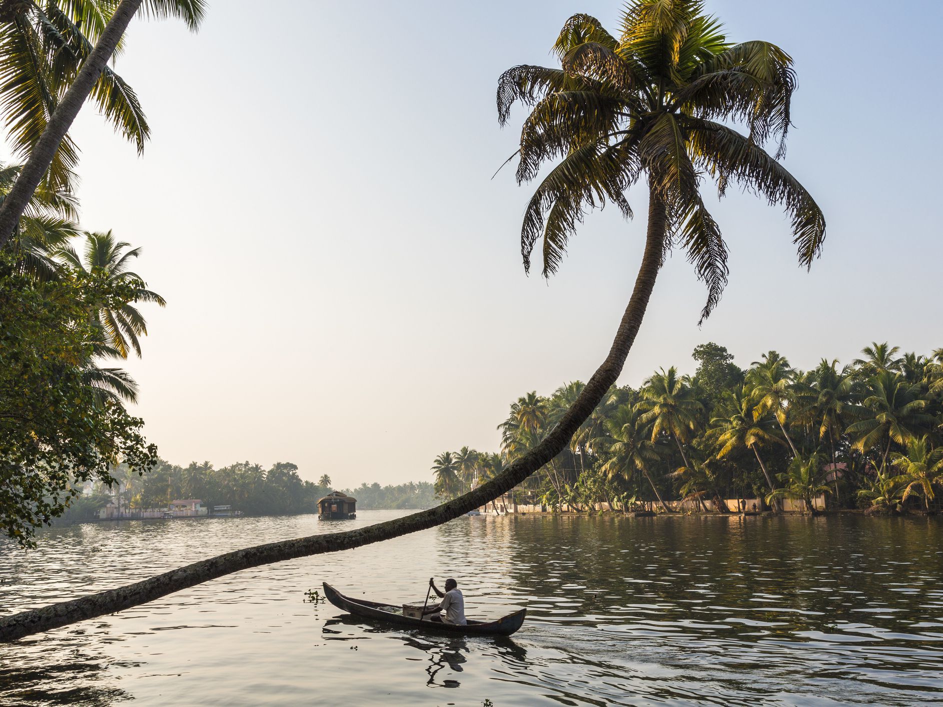 Dreamy Photo of Kerala's Backwaters Attractions
