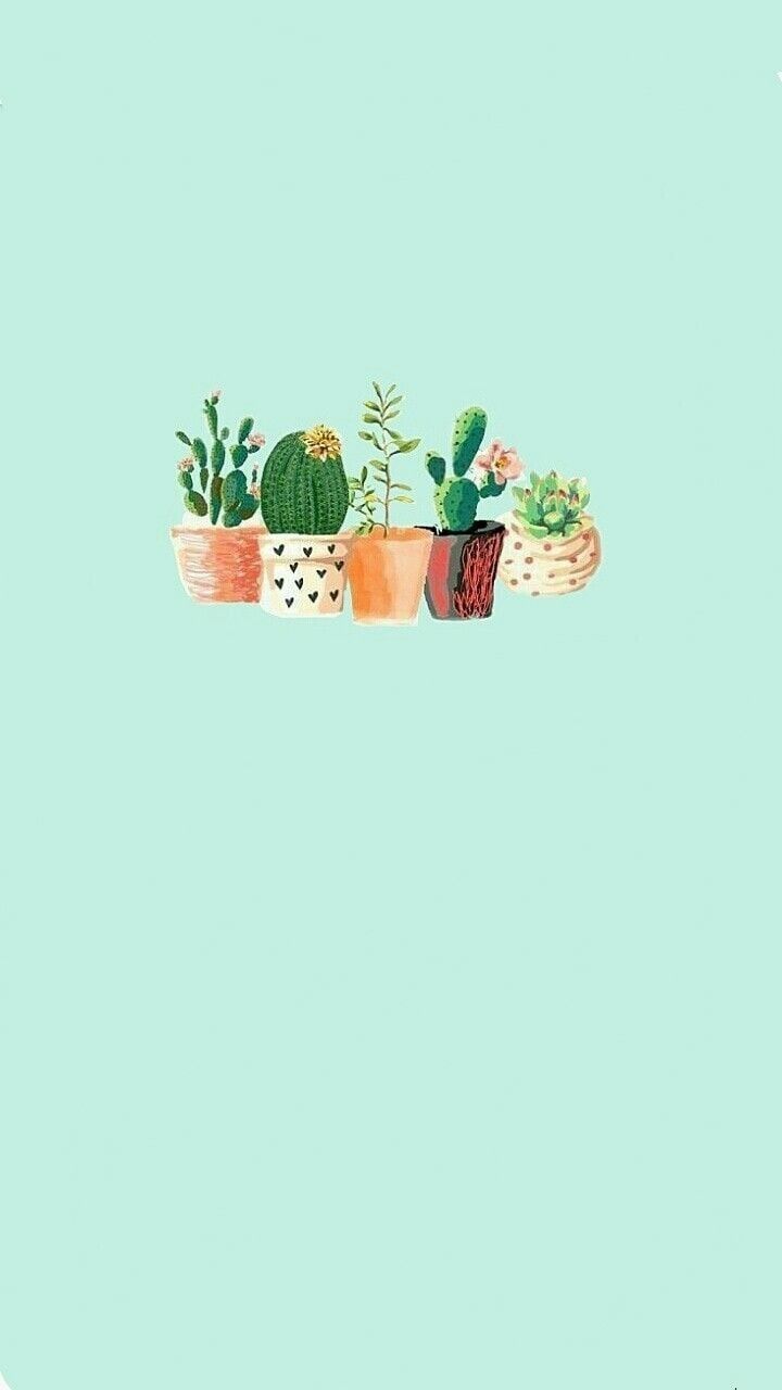 Kawaii Cute Wallpaper Cactus