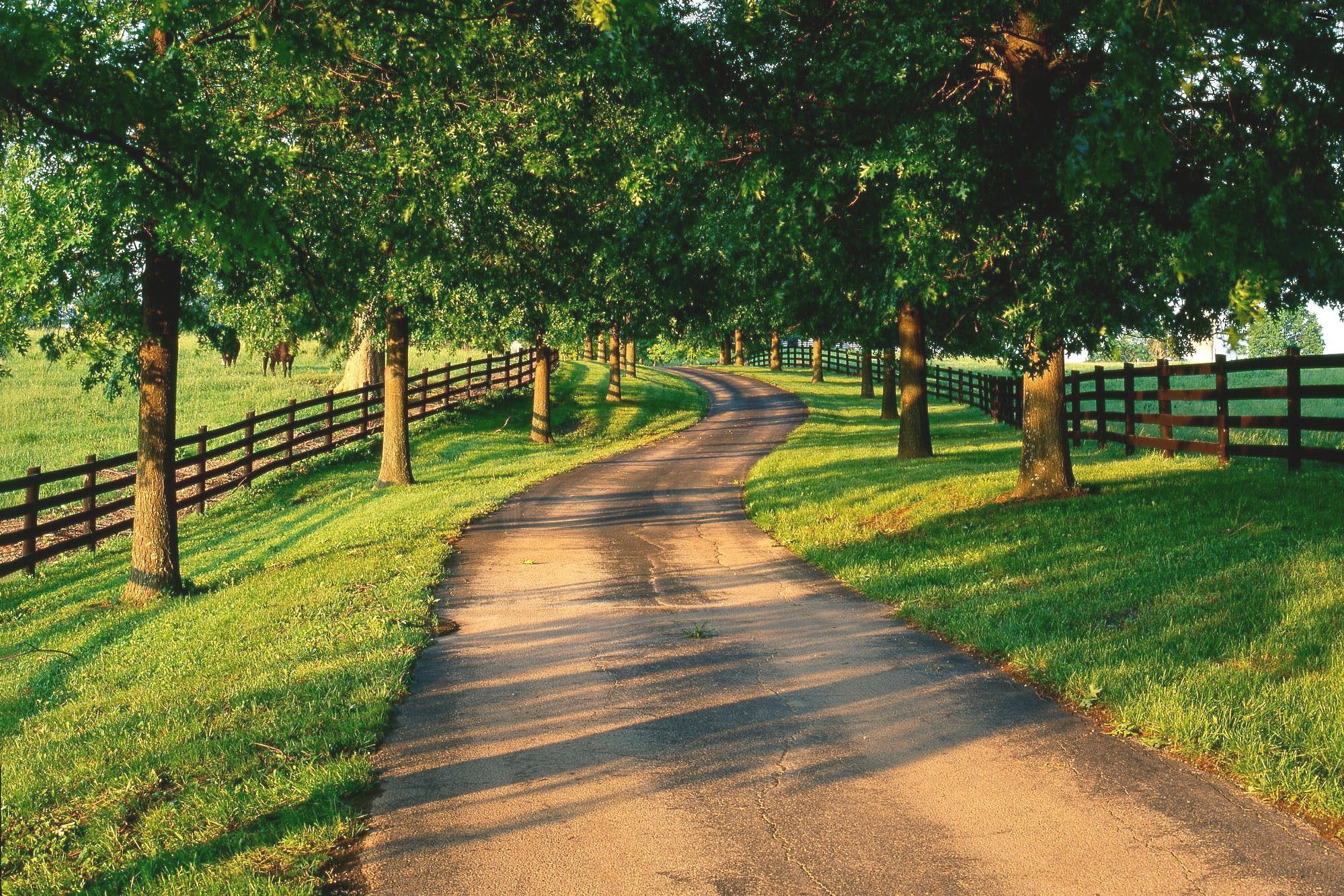 Country Roads Wallpaper