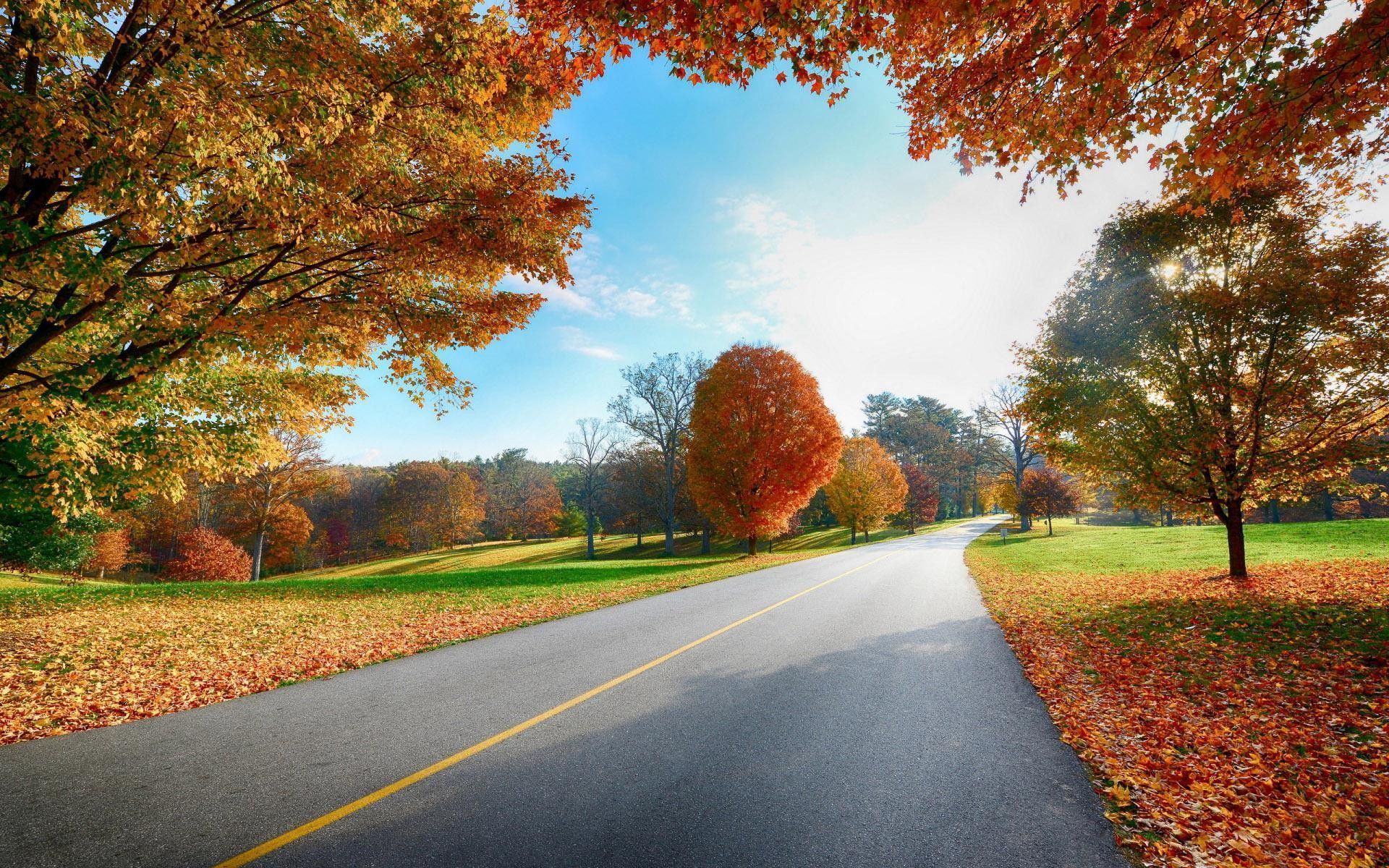 Country Road Autumn Desktop Wallpaper HD Background