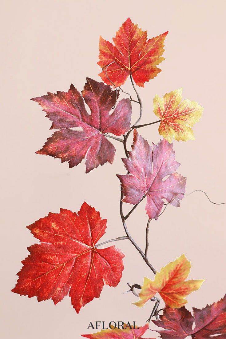 Find realistic artificial fall leaves like these fake grape leaves from Afloral.com. Autumn leaves prints, Fall leaves drawing, Fall leaves tattoo