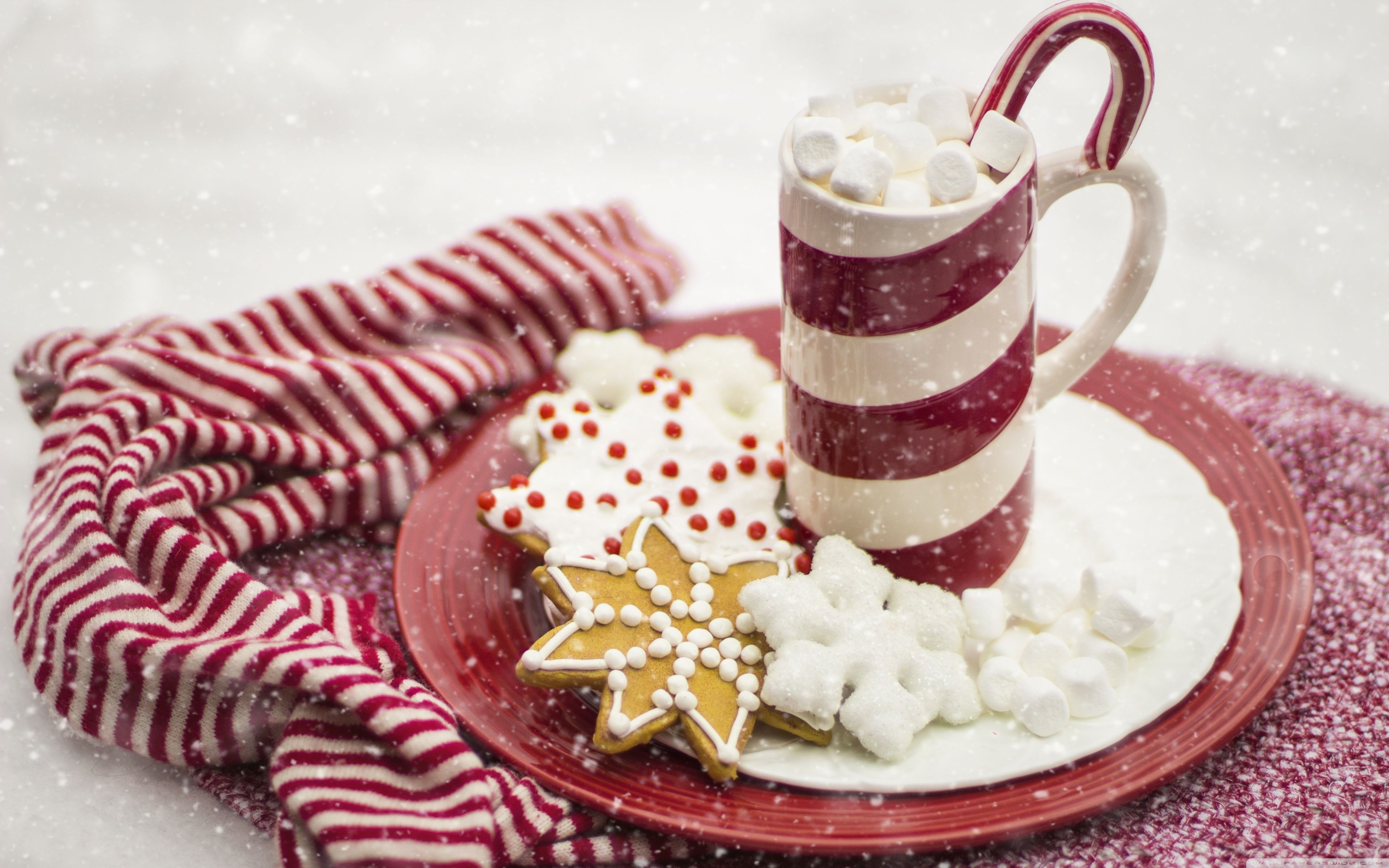 Hot Chocolate, Marshmallows, Candy Cane, Christmas Ultra HD Desktop Background Wallpaper for 4K UHD TV, Widescreen & UltraWide Desktop & Laptop, Tablet