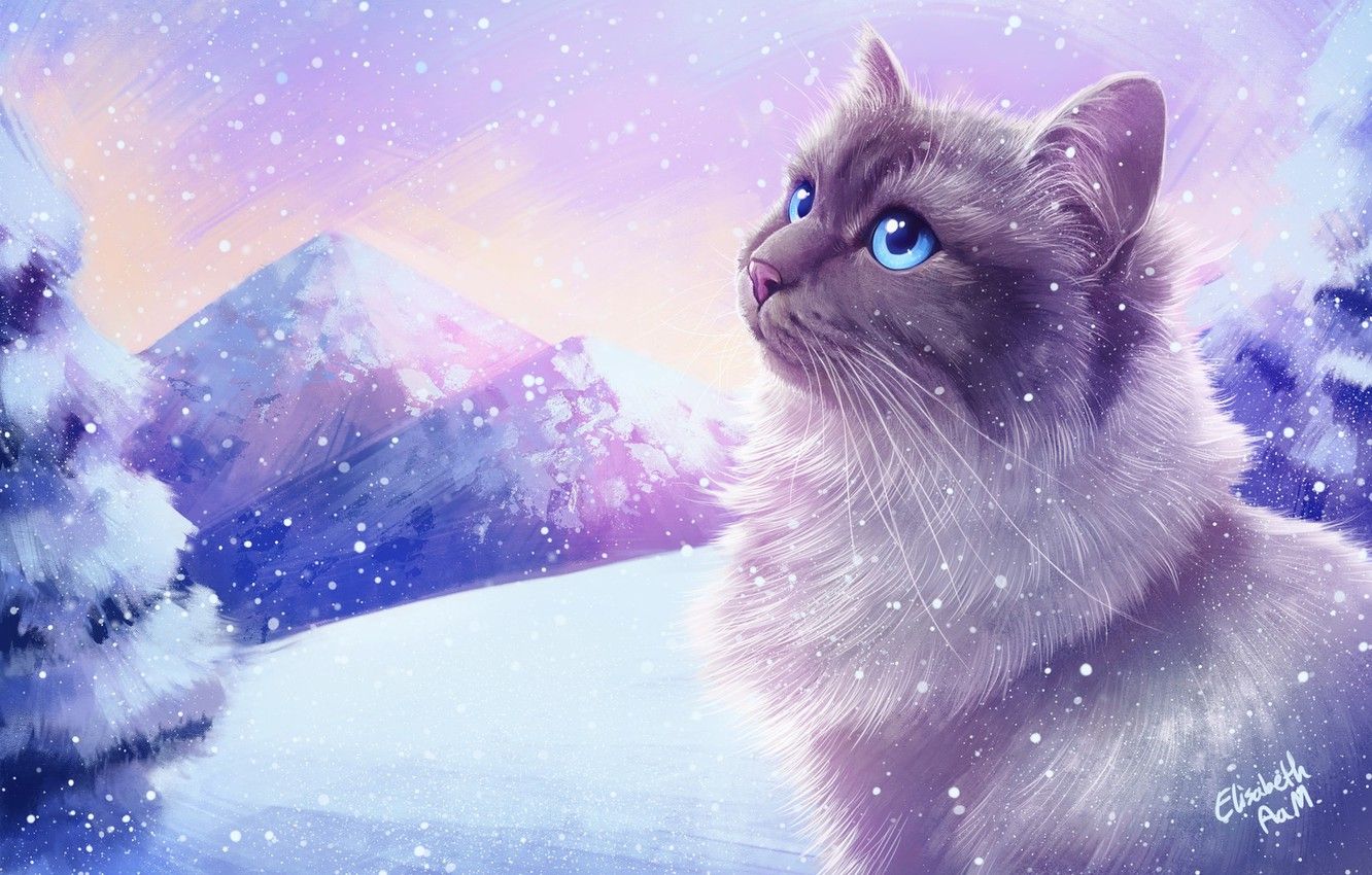 Cute Winter Cats Wallpapers Wallpaper Cave Cute Winter Cats Wallpapers Wallpaper Cave