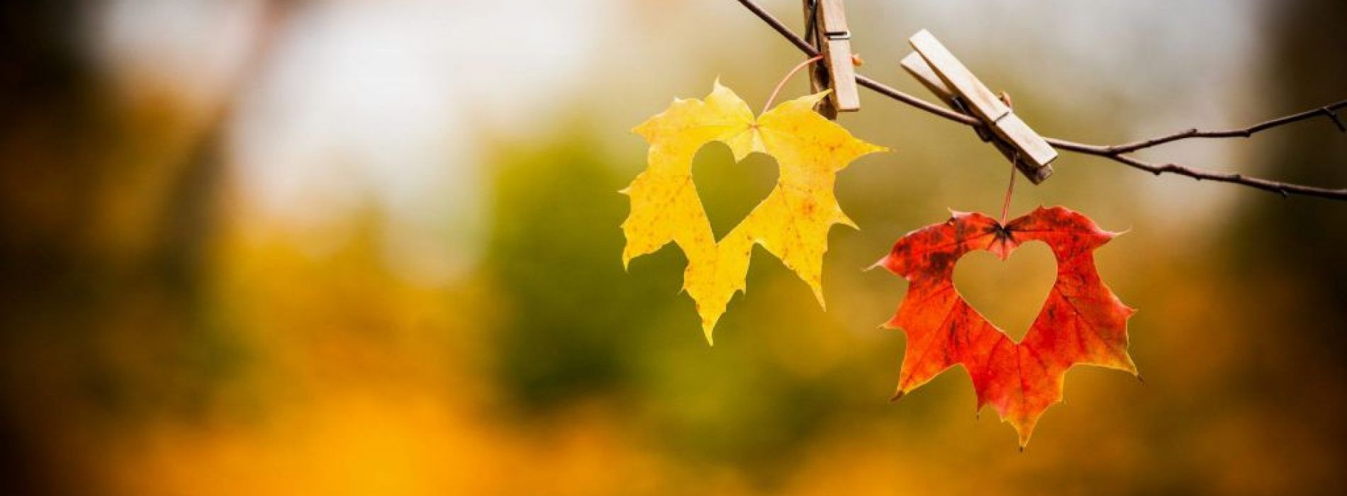 FALL in LOVE with Selling Your Home this Season!