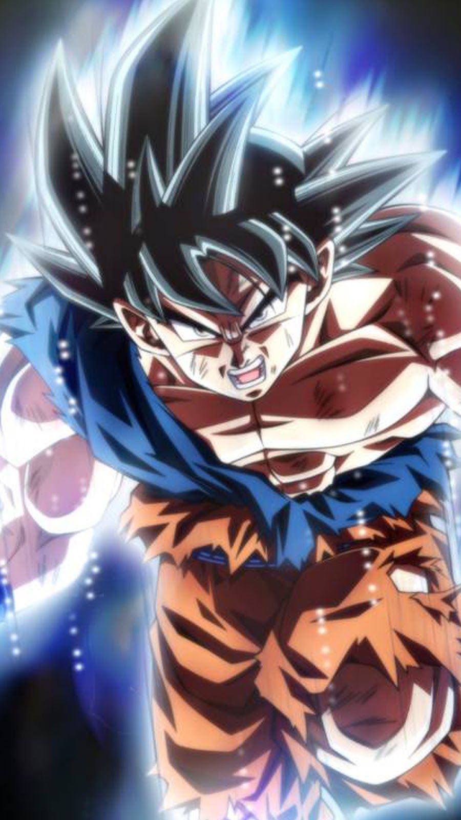 Super Son Goku Dragon Ball Super Instinct Wallpaper HD