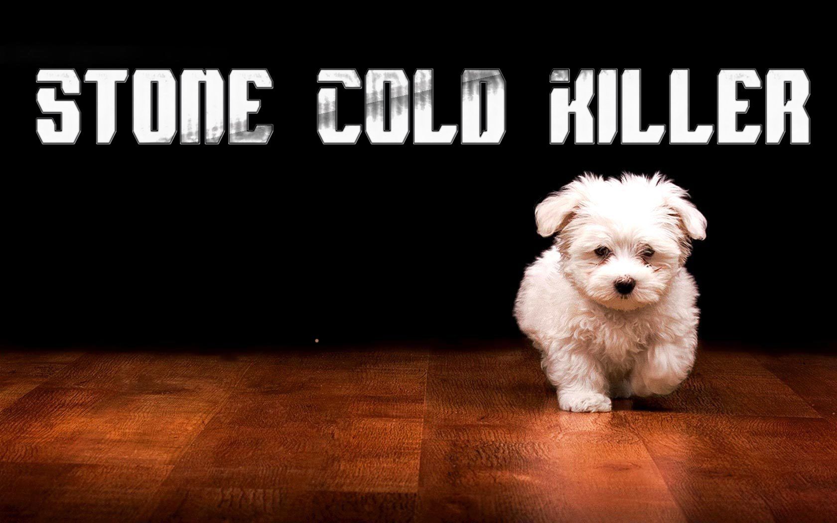Dog Killer Humor Funny Puppy Puppies Cute Sadic Dogs Animal Meme Background Wallpaper & Background Download