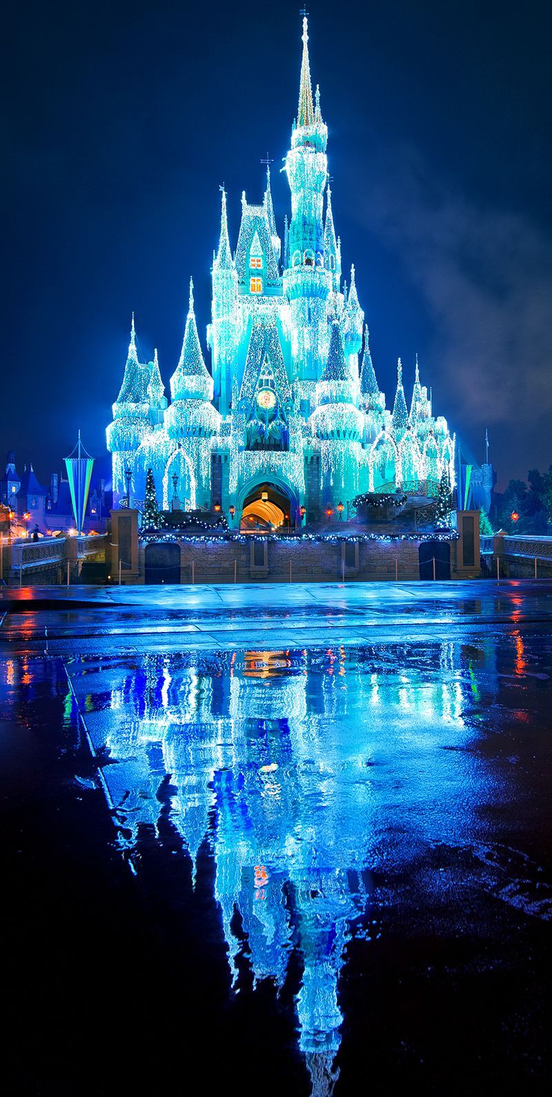 Disney World Christmas Ultimate Guide Tourist Blog. Disney world christmas, Disney world, Disney castle