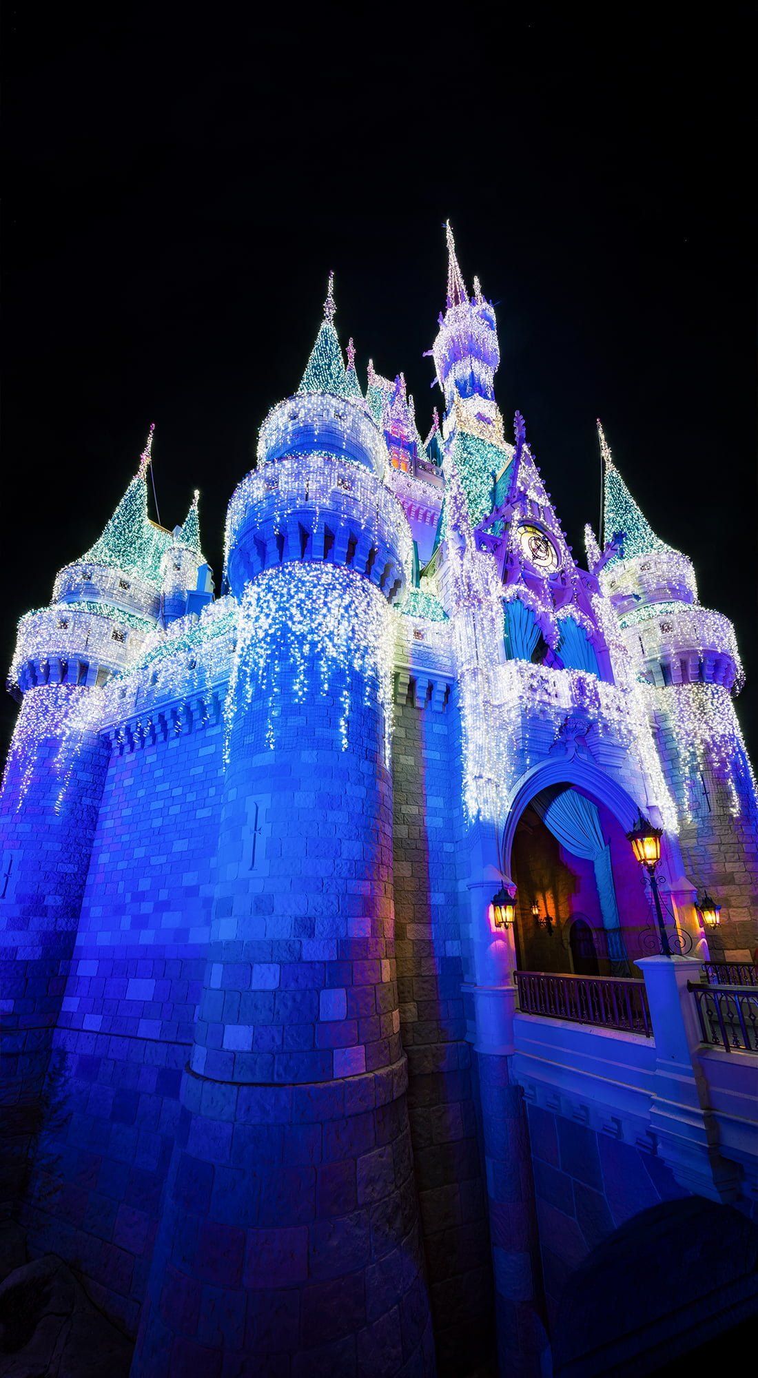 New Magic Kingdom Christmas Photo Tourist Blog