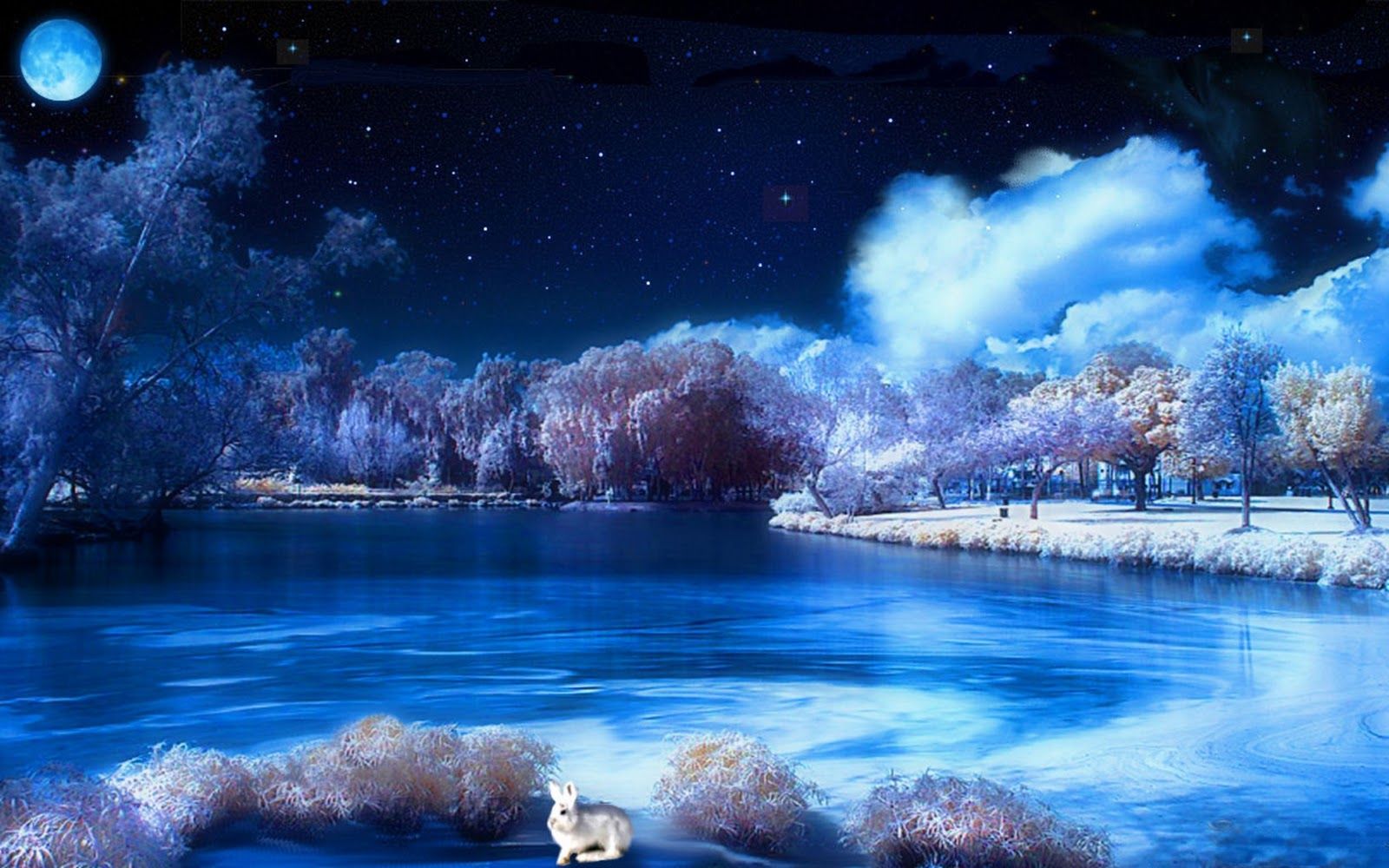 Winter Night Scenes Wallpaper