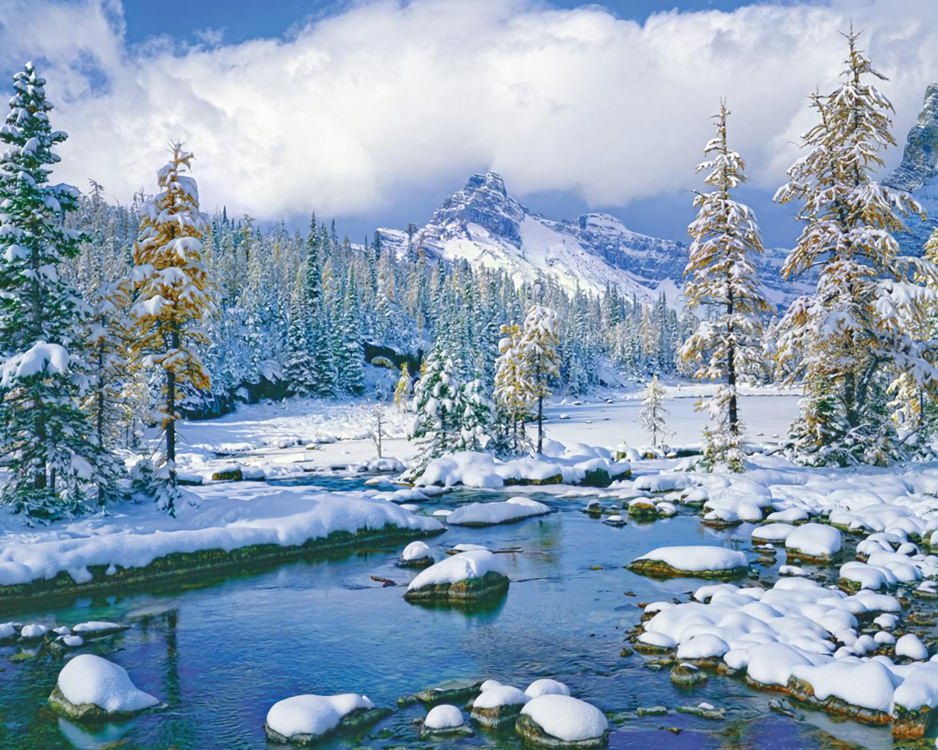 Earth Winter Landscape Mountain Tree Forest Snow Wallpaper:1920x1536