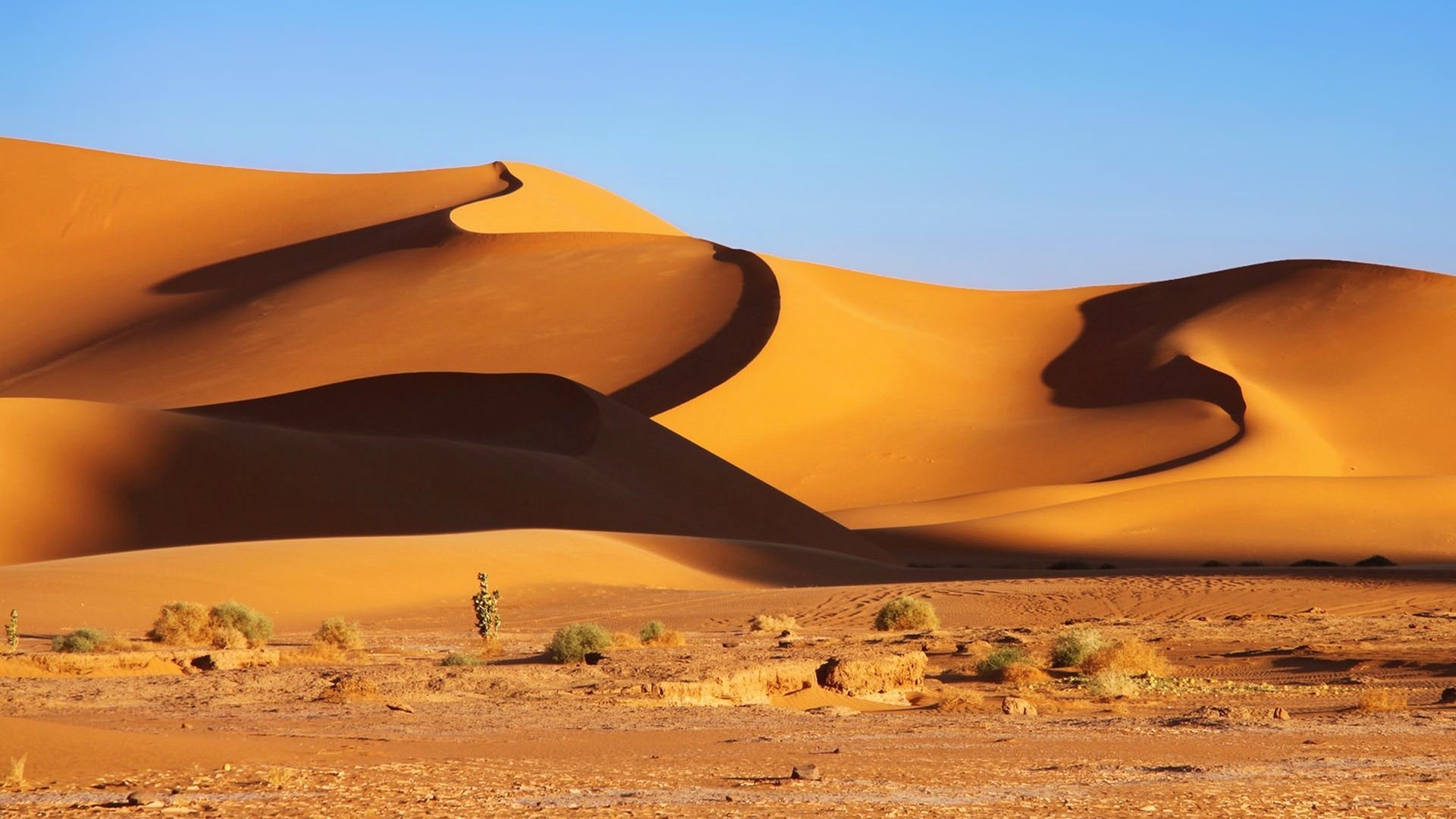 Desert Sand Dune HD Wallpaper Desert Sand Dunes Wallpaper & Background Download