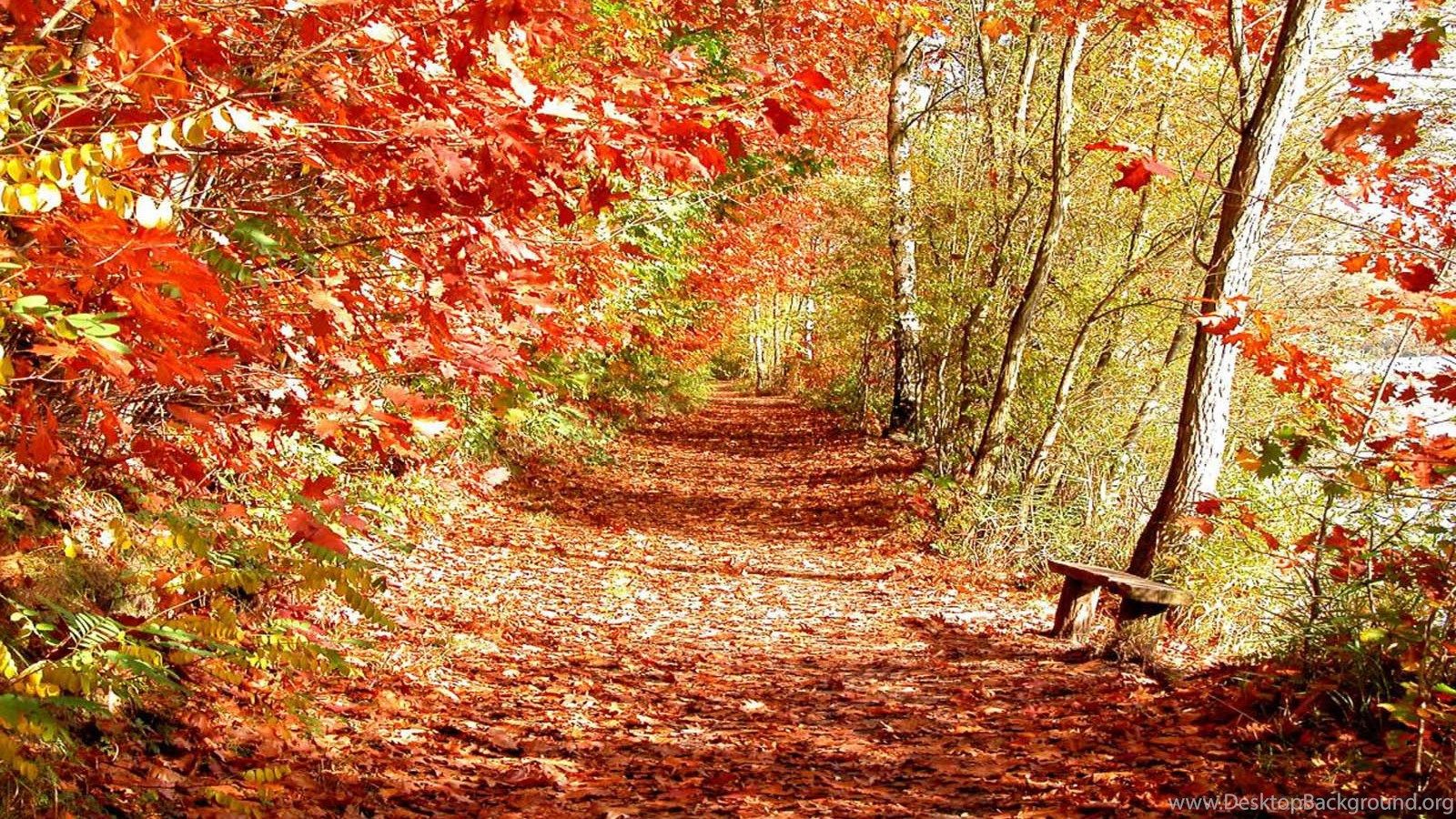 Wallpaper: Beautiful Autumn Scenery Wallpaper Desktop Background