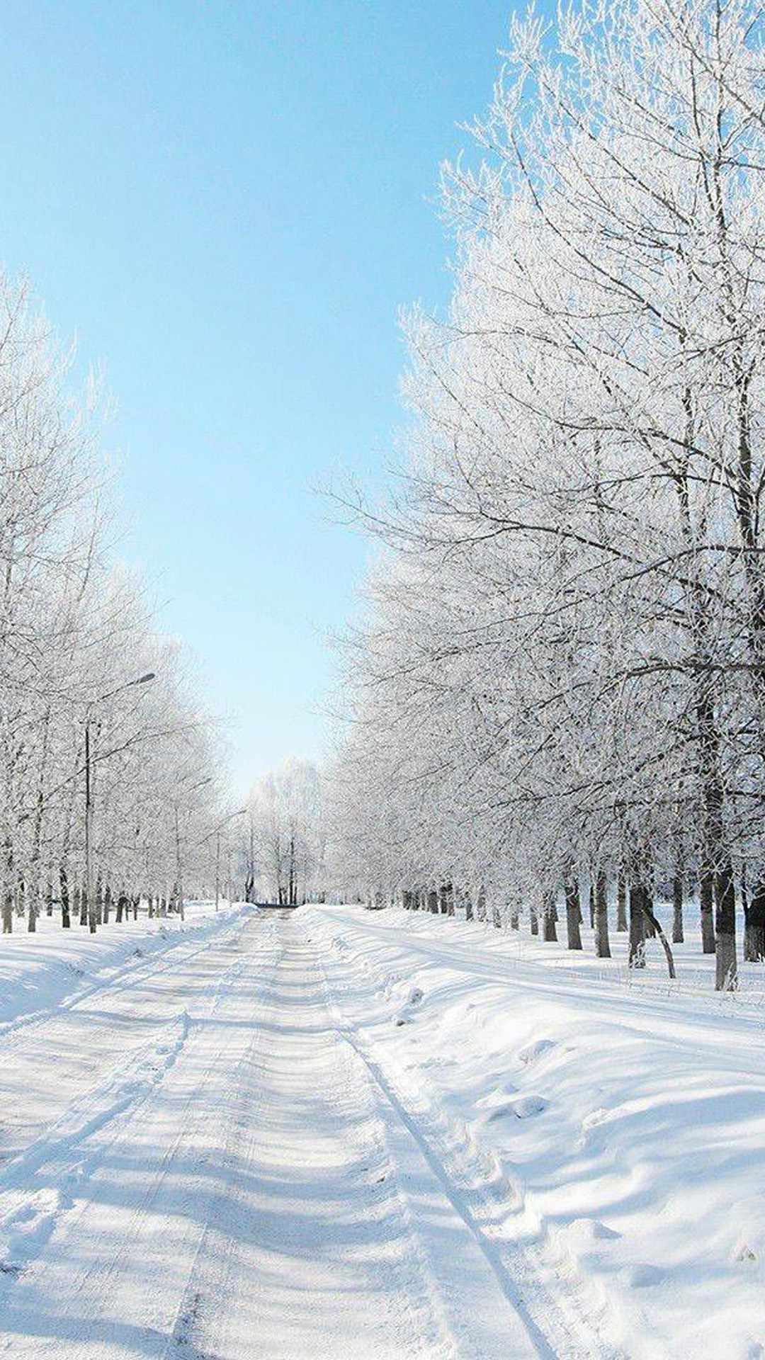 Free Download Winter Wallpaper for iPhone