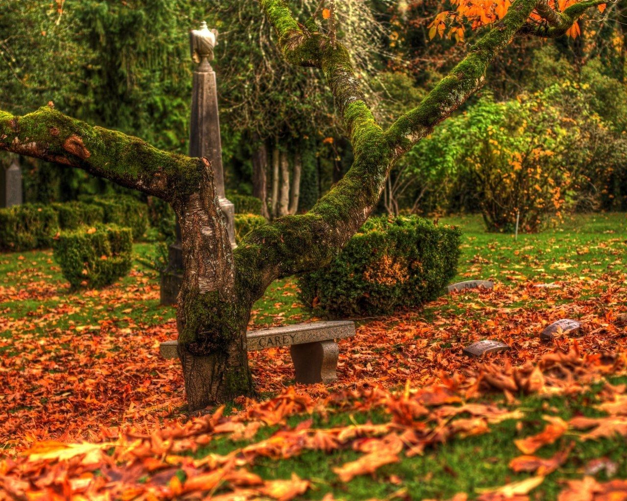 beautiful autumn scenery HD