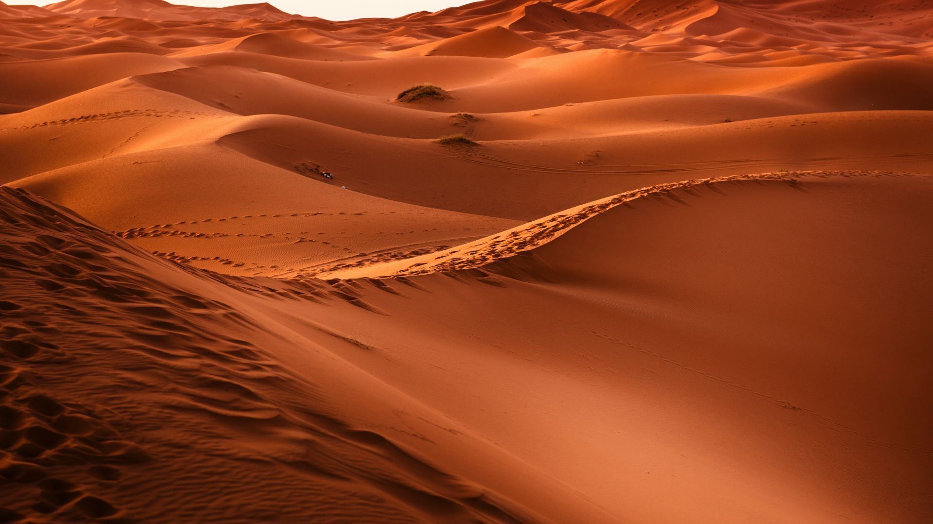 Desktop wallpaper morocco, desert, sand, dunes, HD image, picture, background, 2c82e5