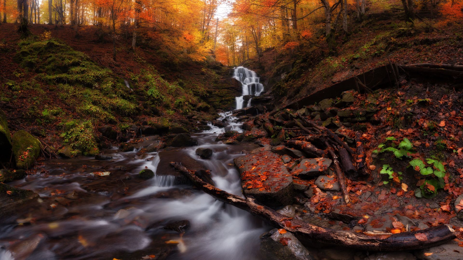 Beautiful Autumn Scenery Free Download Wallpaper HD