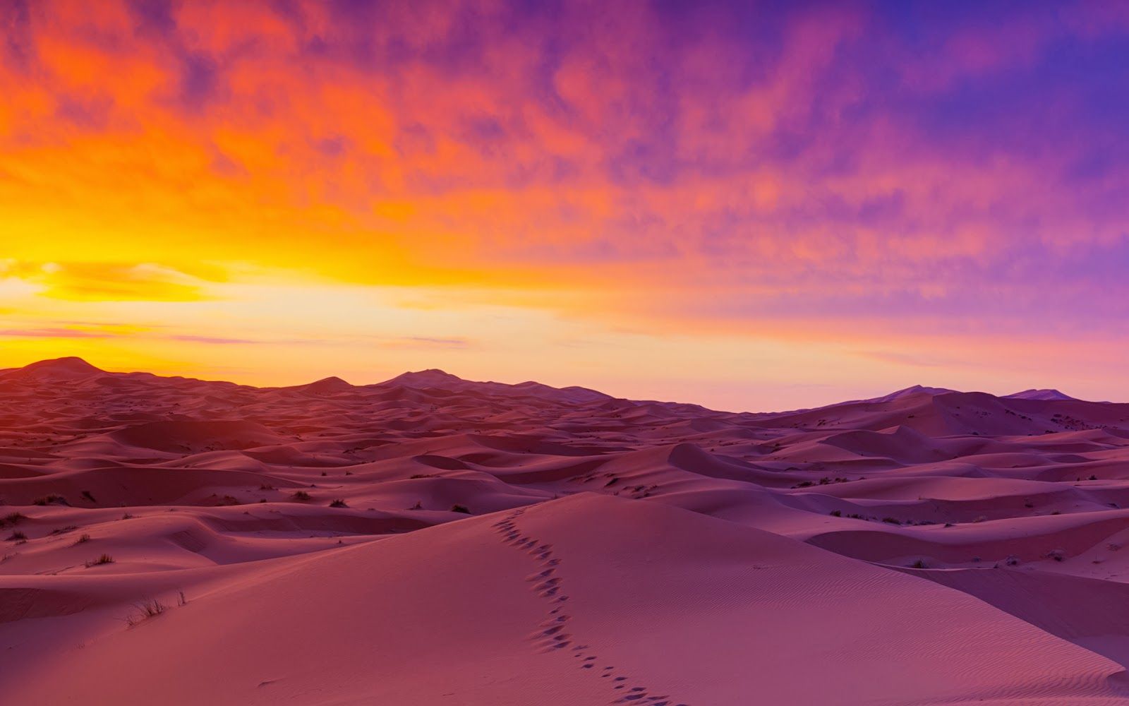 Wallpaper World: Sahara Desert Sand Dunes Wide HD Wallpaper
