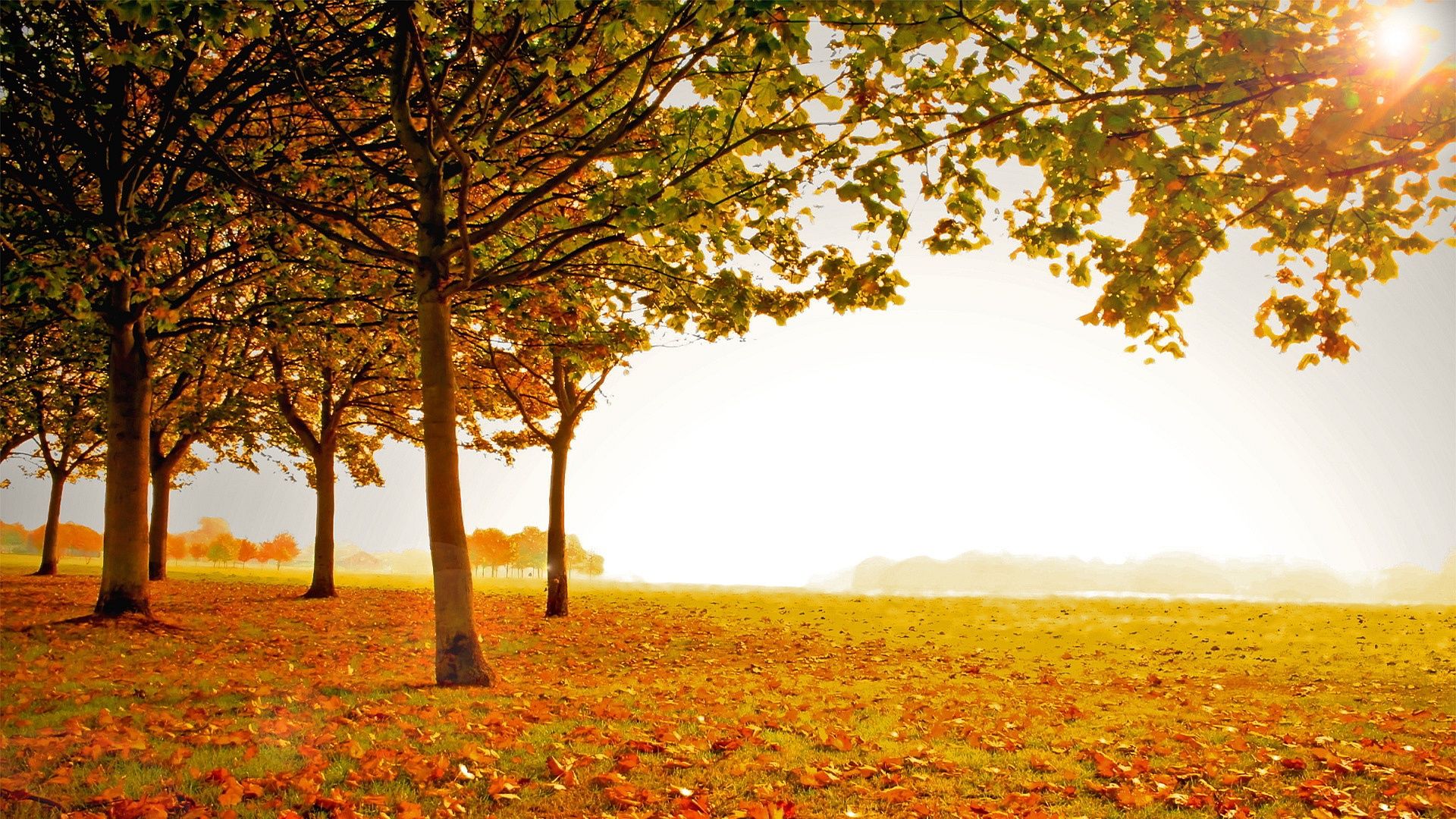 Fall Scenery Wallpaper Free Download