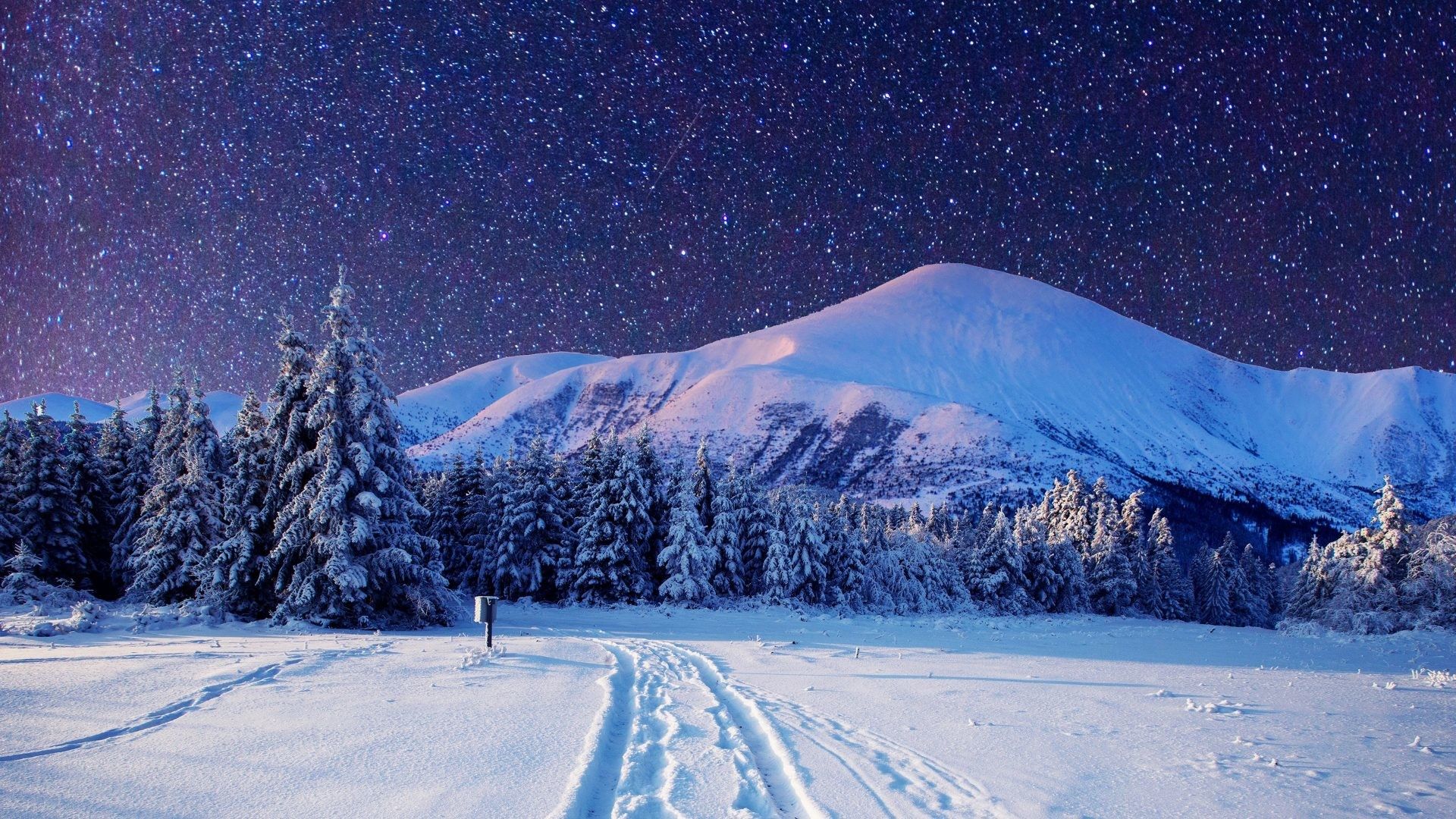 Winter Landscape Wallpaper