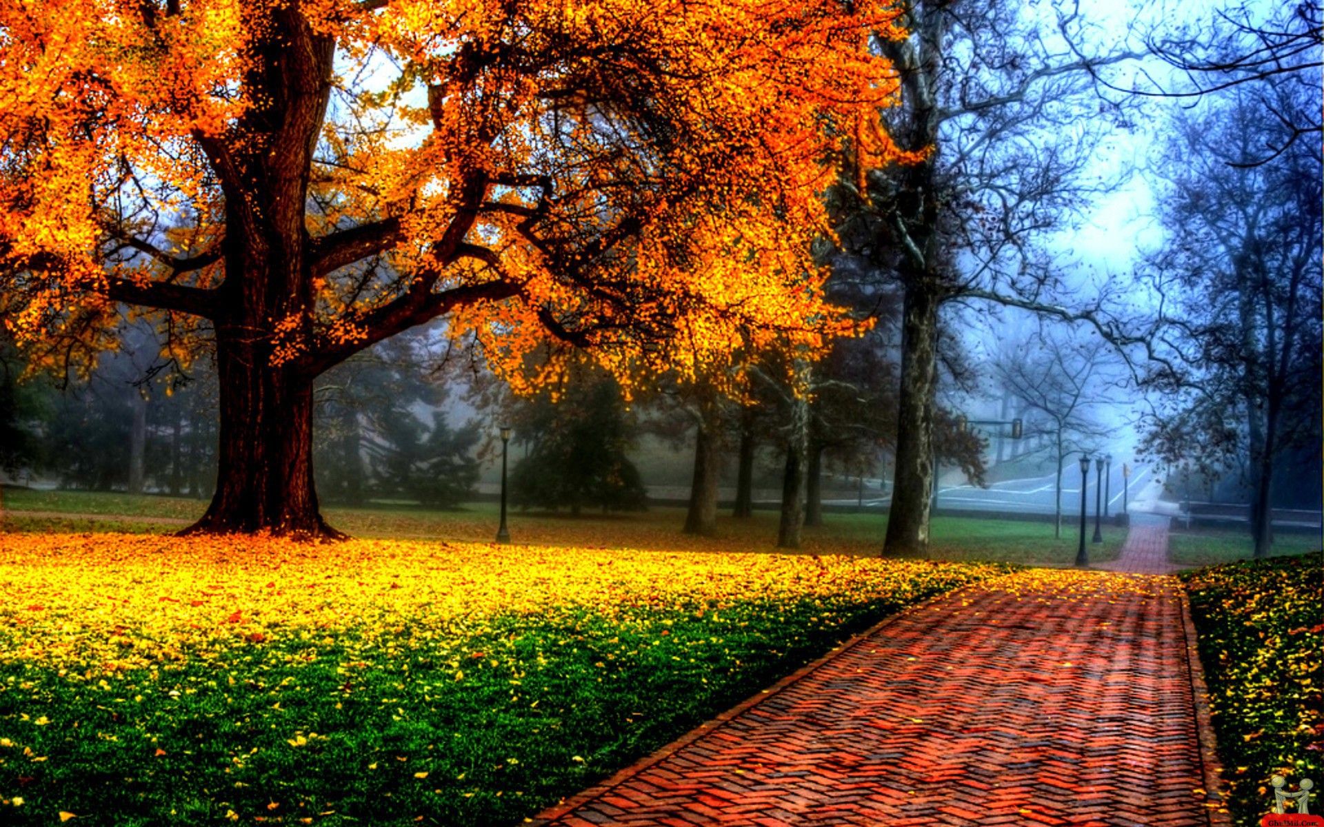 Beautiful Wallpaper HD Download Image HD