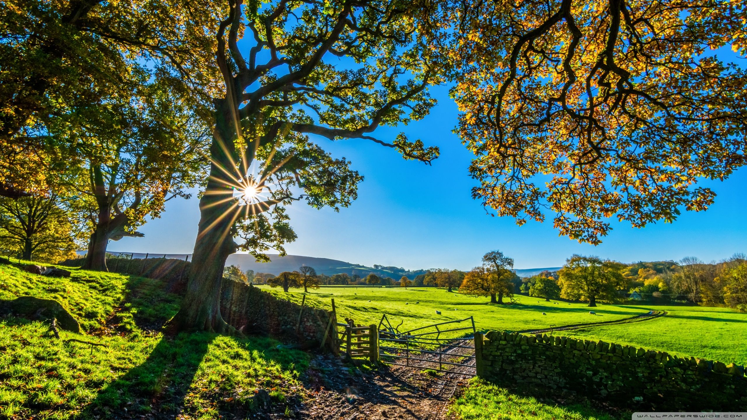 Beautiful England Nature Countryside Scenery Ultra HD Desktop Background Wallpaper for 4K UHD TV, Widescreen & UltraWide Desktop & Laptop, Tablet