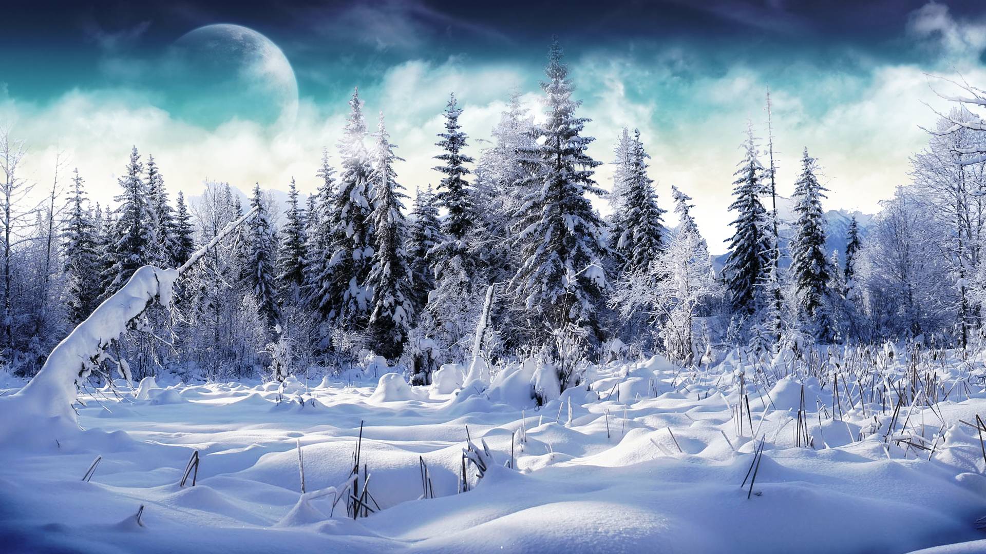 Winter Wallpaper and Background HD Wallpaper of Winter