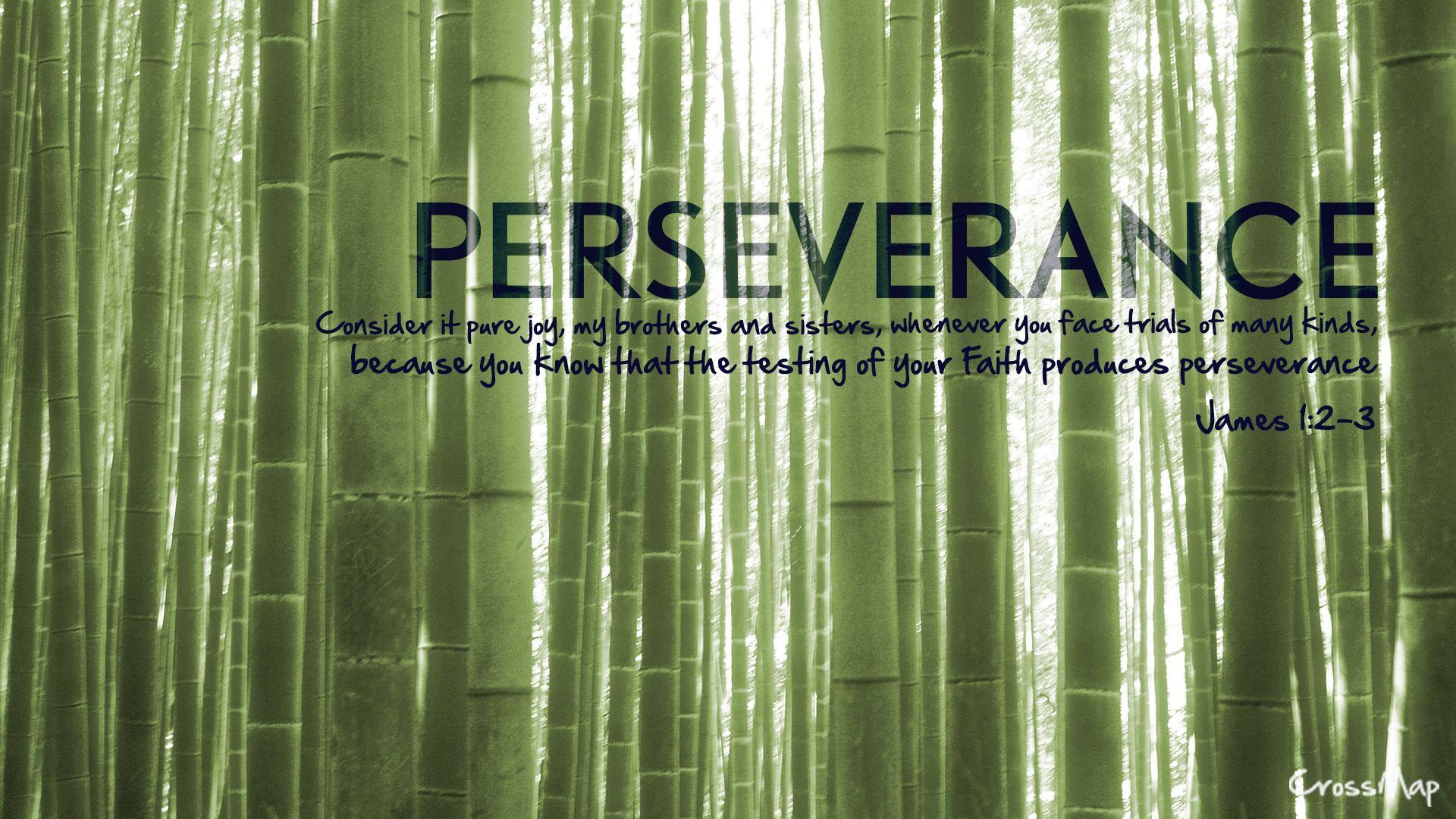Perseverance Wallpaper