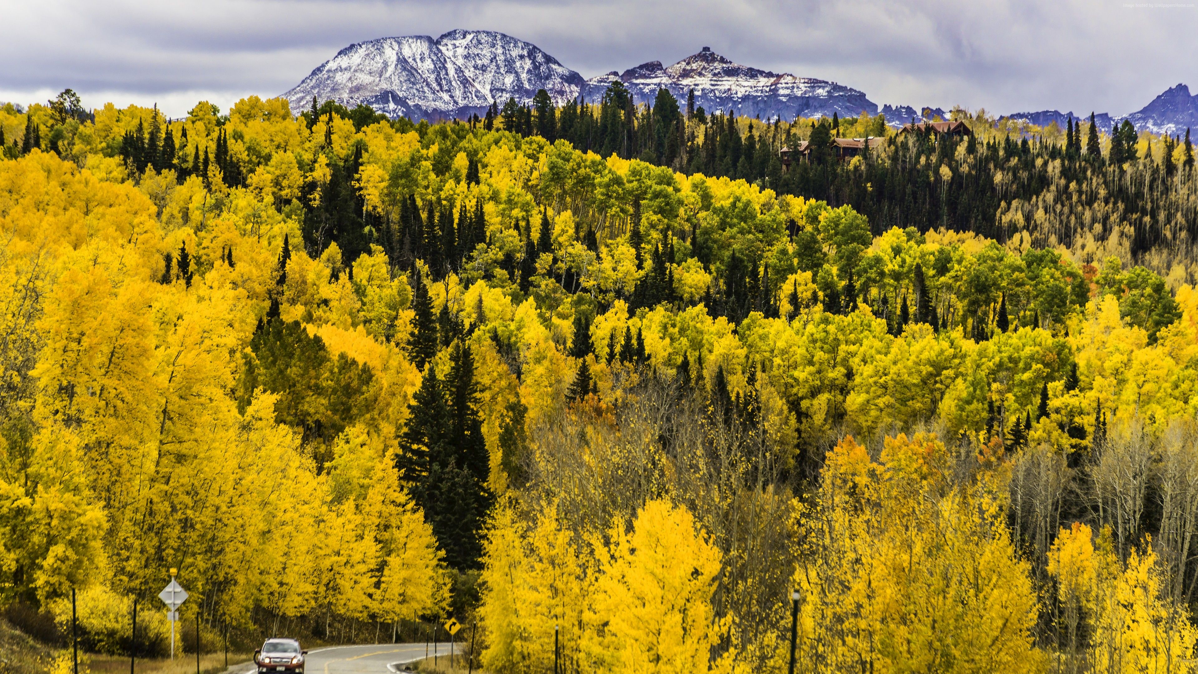 Wallpaper autumn, forest, trees, mountains, road, Colorado, USA, 5k, Travel Wallpaper Download Resolution 4K Wallpaper