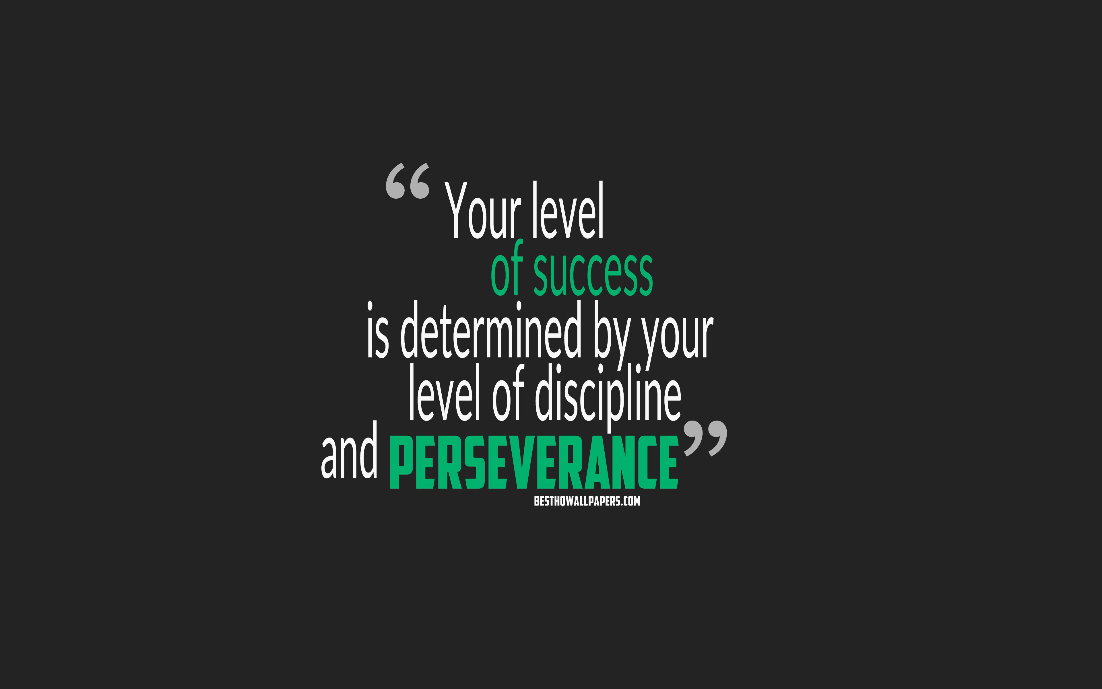 Download wallpaper Your level of success is determined by your level of discipline and perseverance, quotes about success, motivation, gray background, popular quotes for desktop with resolution 3840x2400. High Quality HD picture