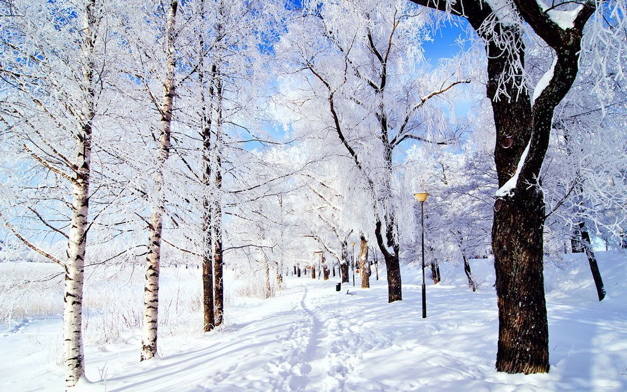 Aesthetic Snow Wallpaper Free Aesthetic Snow Background