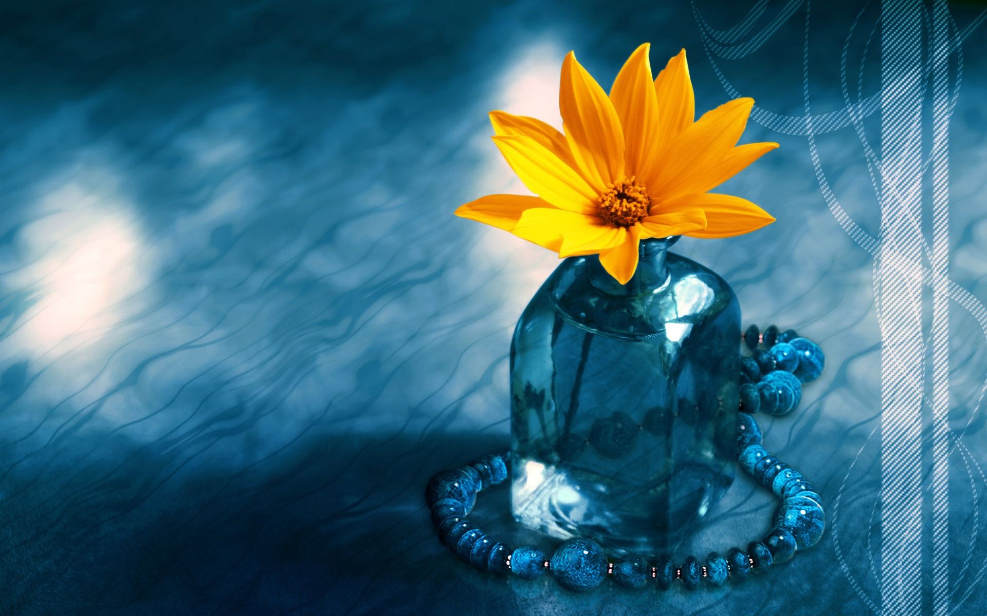 Blue Sun Flower Free Desktop Flower HD Photo Background Lord Shiva Wallpaper & Background Download