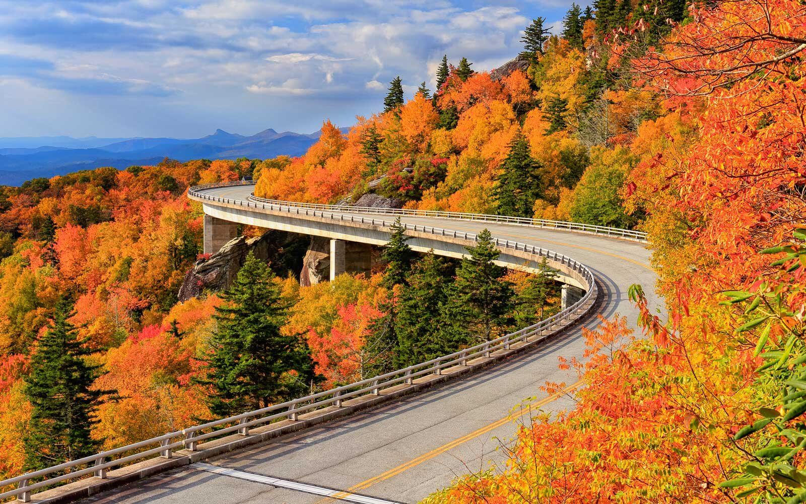Fall Road Trips for Seeing the Best Fall Foliage