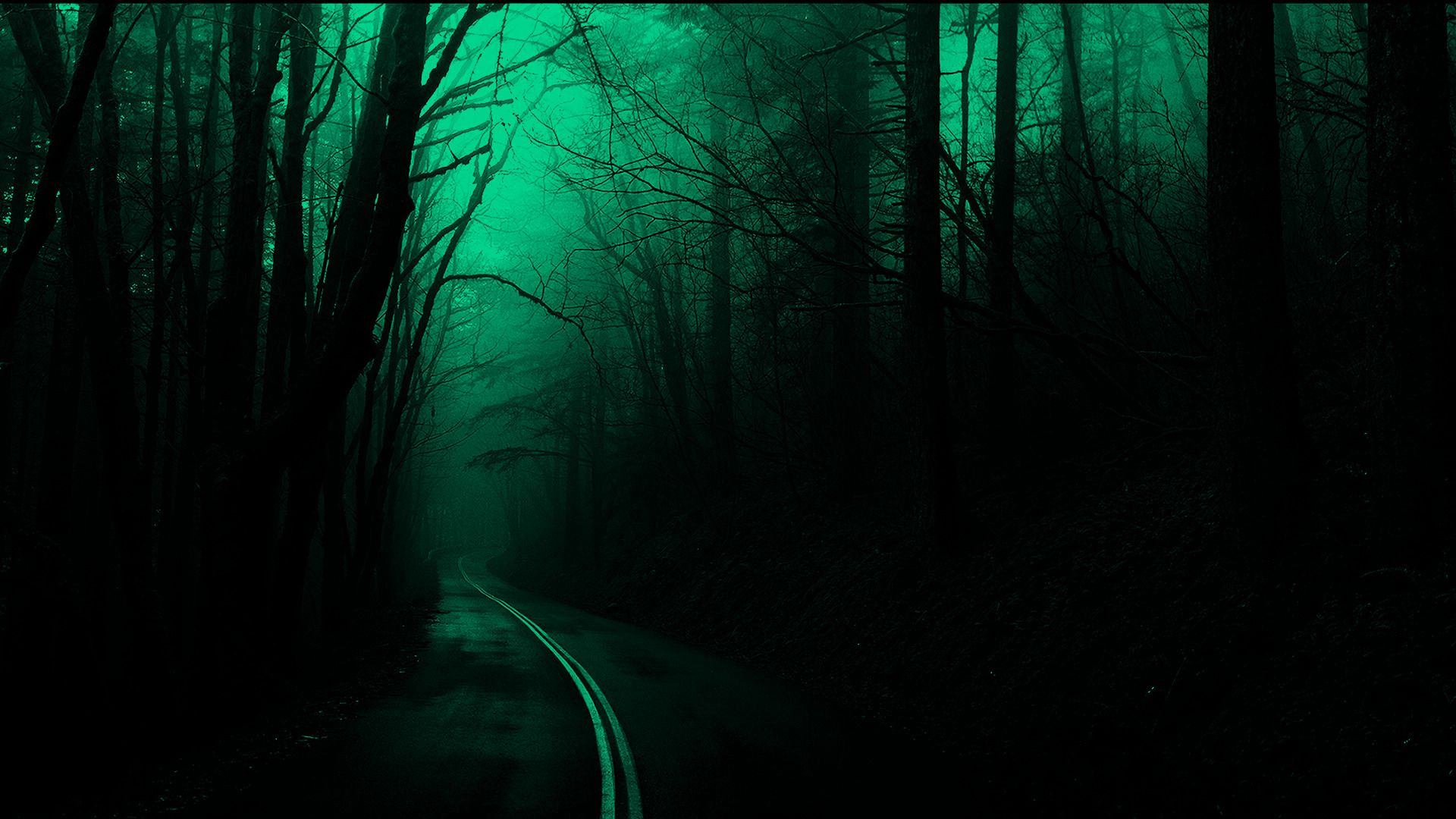 forest, Trees, Road, Dark, Nature, Spooky Wallpaper HD / Desktop and Mobile Background