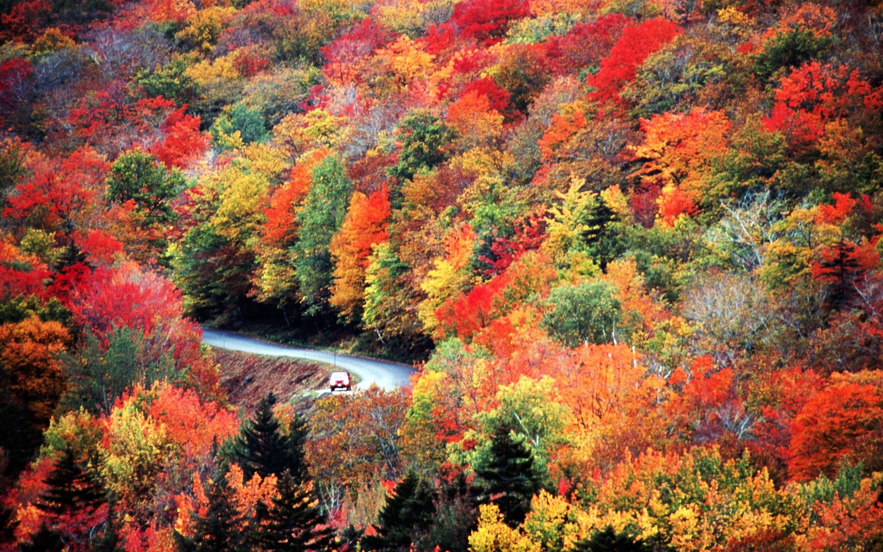 New England in the Fall: expert holiday planner