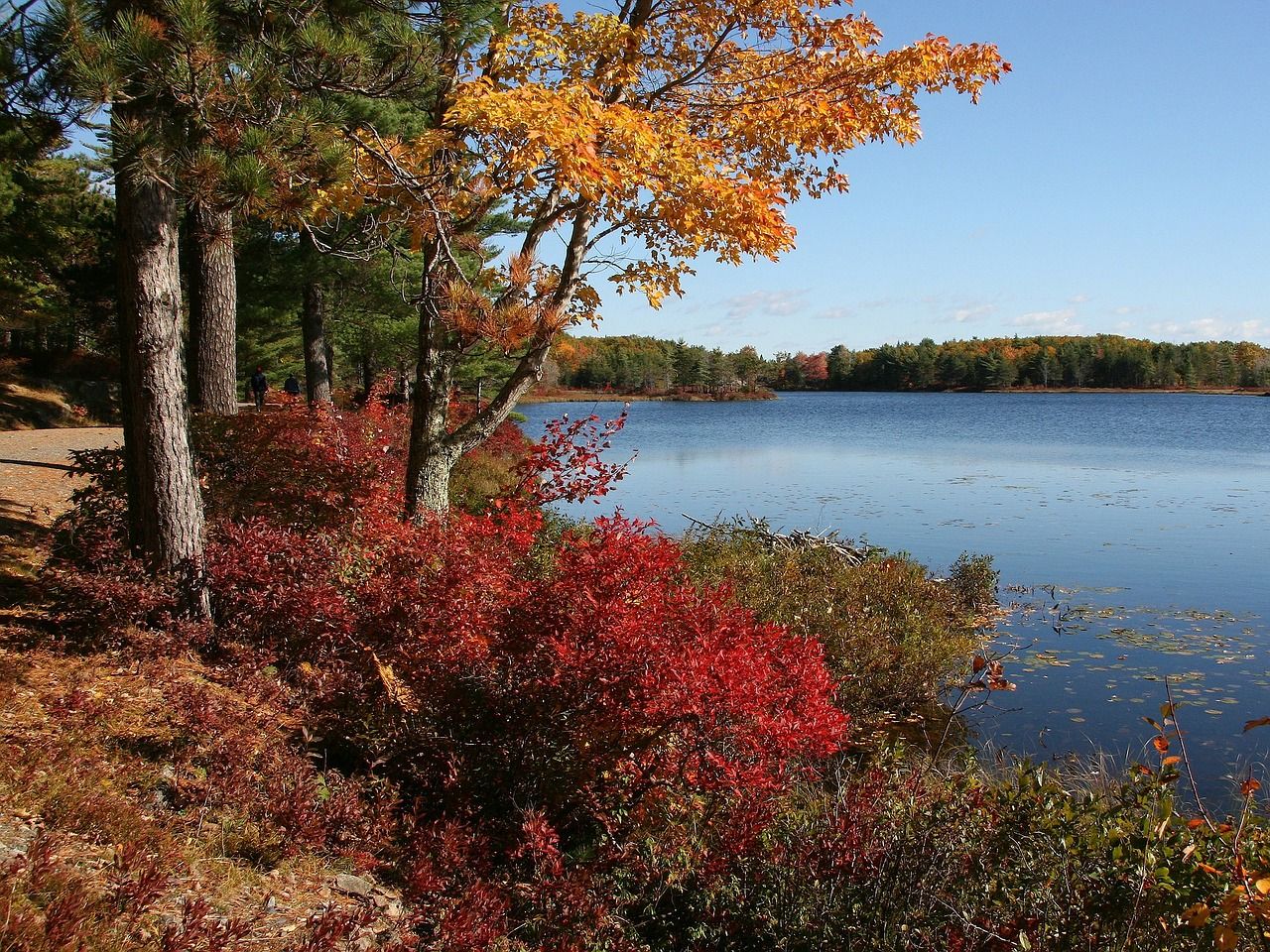 Where to Find the Best Fall Colors in the Northeast USA