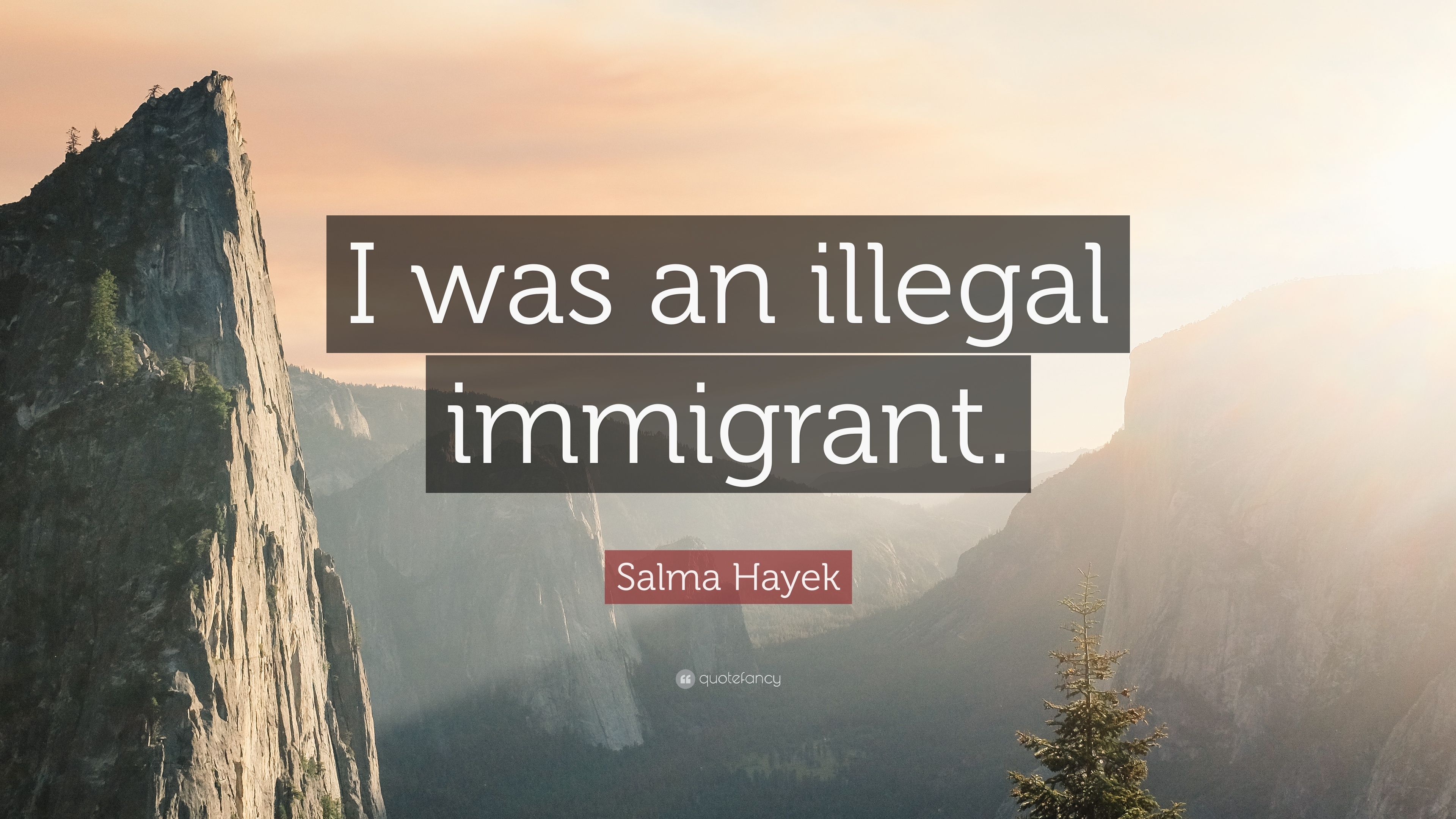 Salma Hayek Quote: “I was an illegal immigrant.” (7 wallpaper)