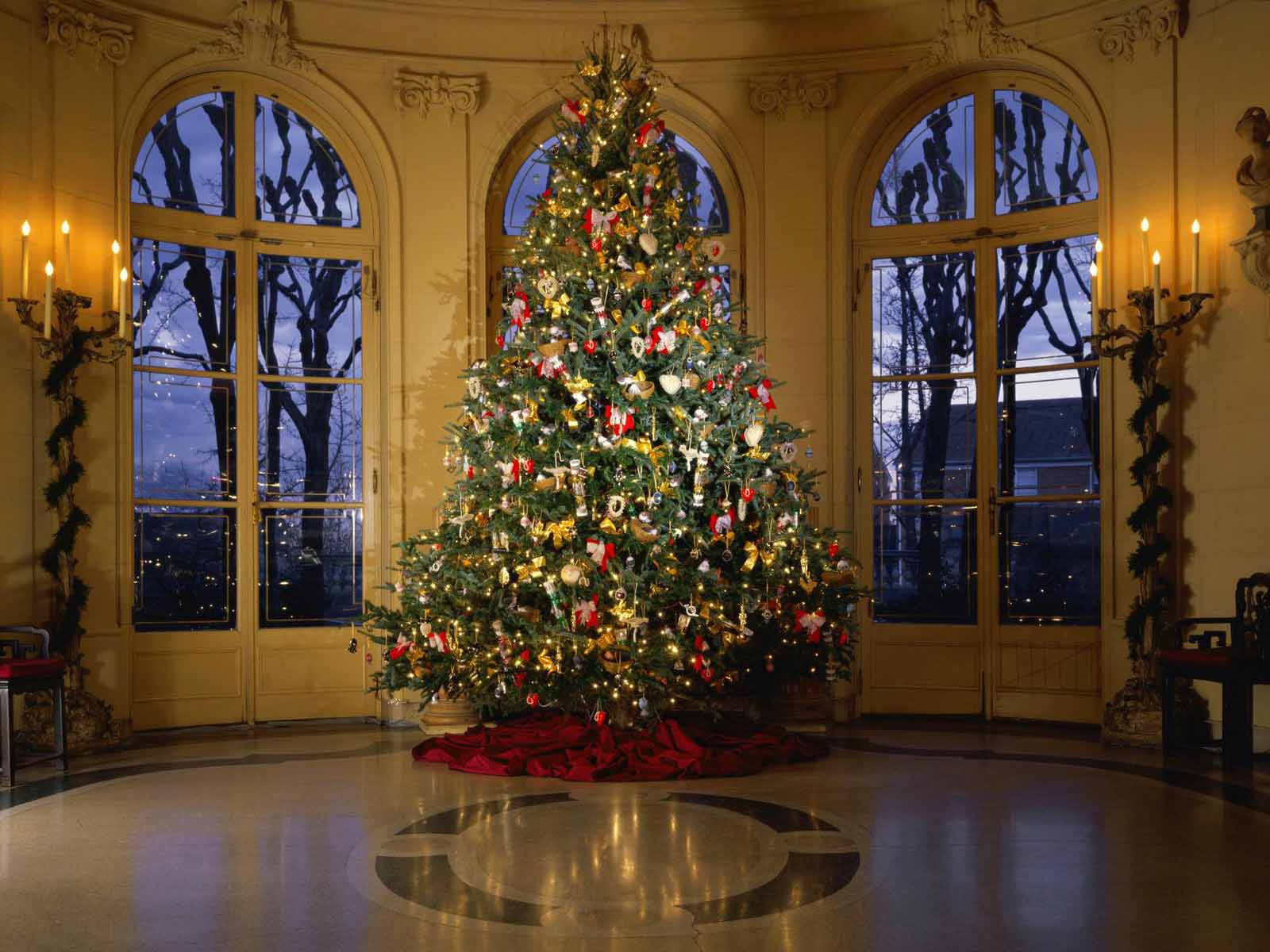 Stunning Christmas Tree Image