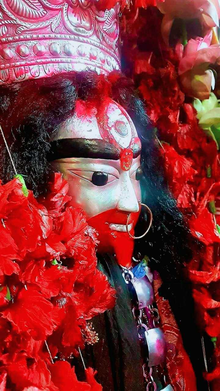 joy maa tara joy Image harendra singh - ভারতের নিজস্ব সোশ্যাল নেটওয়ার্ক