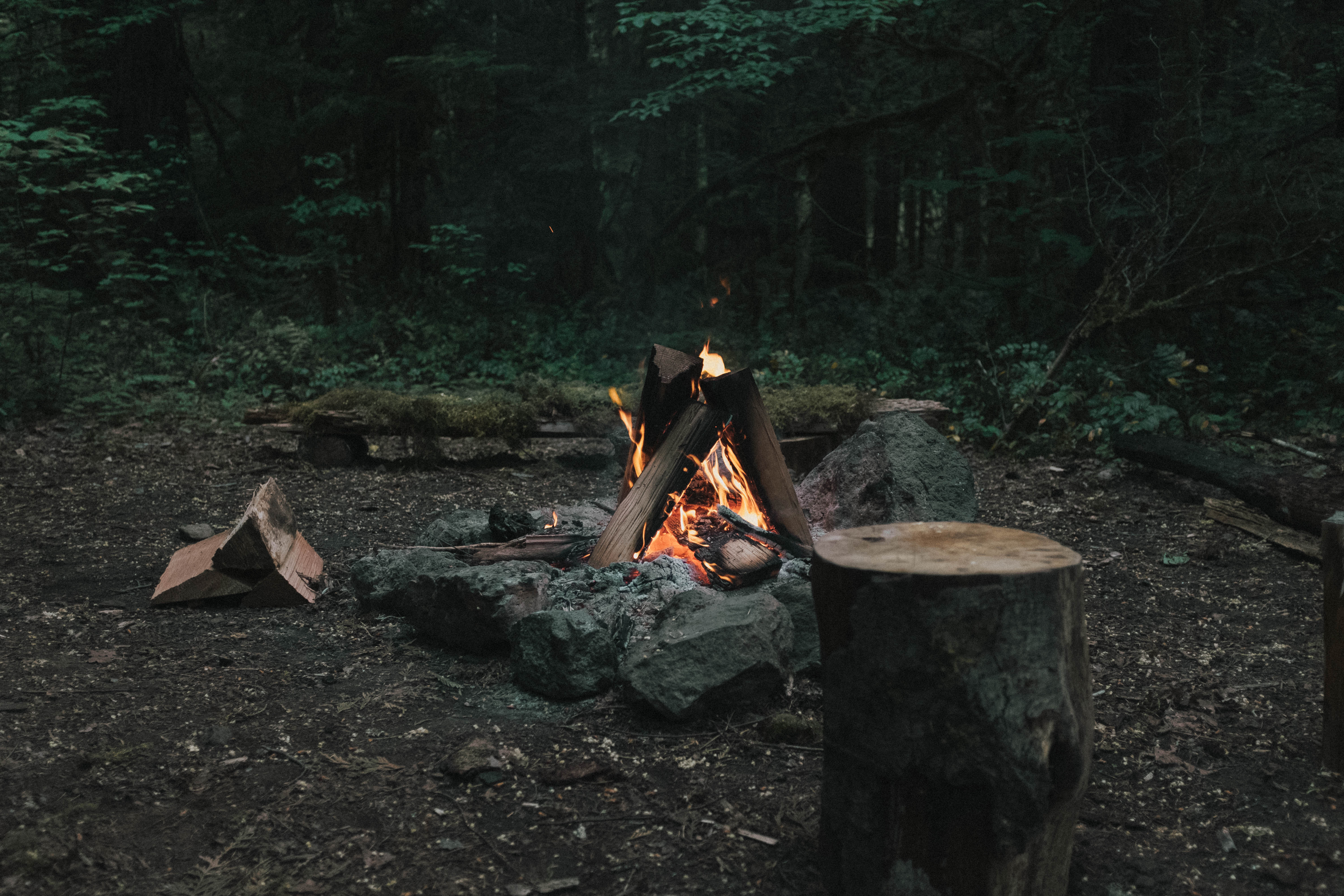 Bushcraft Picture [HD]. Download Free Image