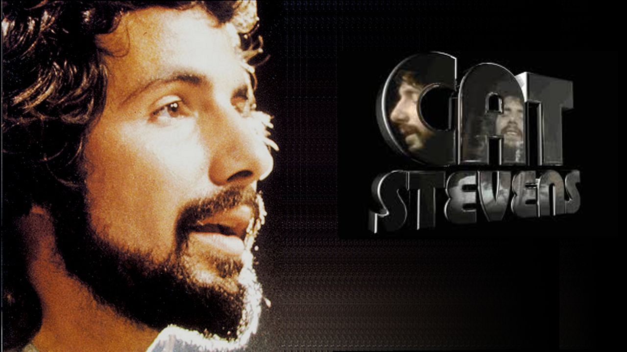 Cat Stevens Wallpapers - Wallpaper Cave