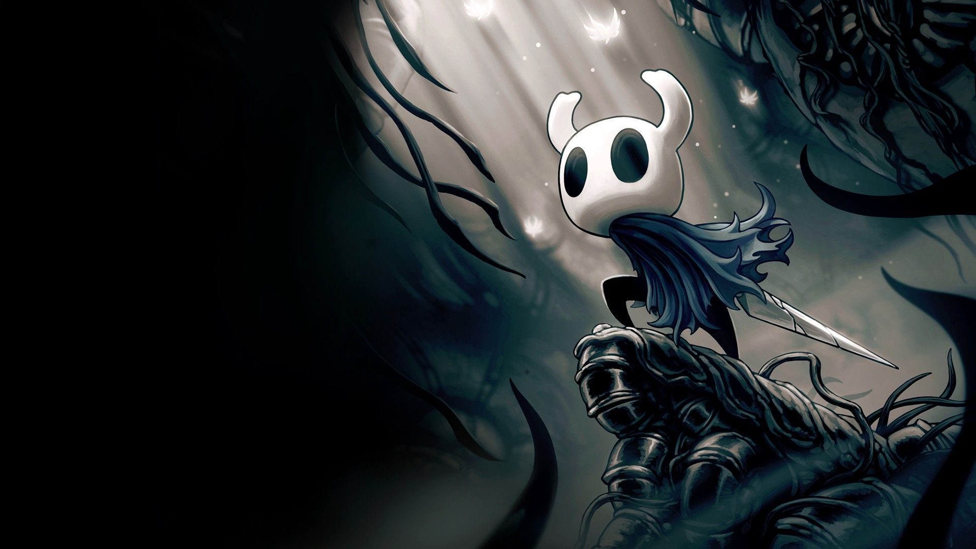Best Hollow Knight Wallpaper Cute Wallpaper