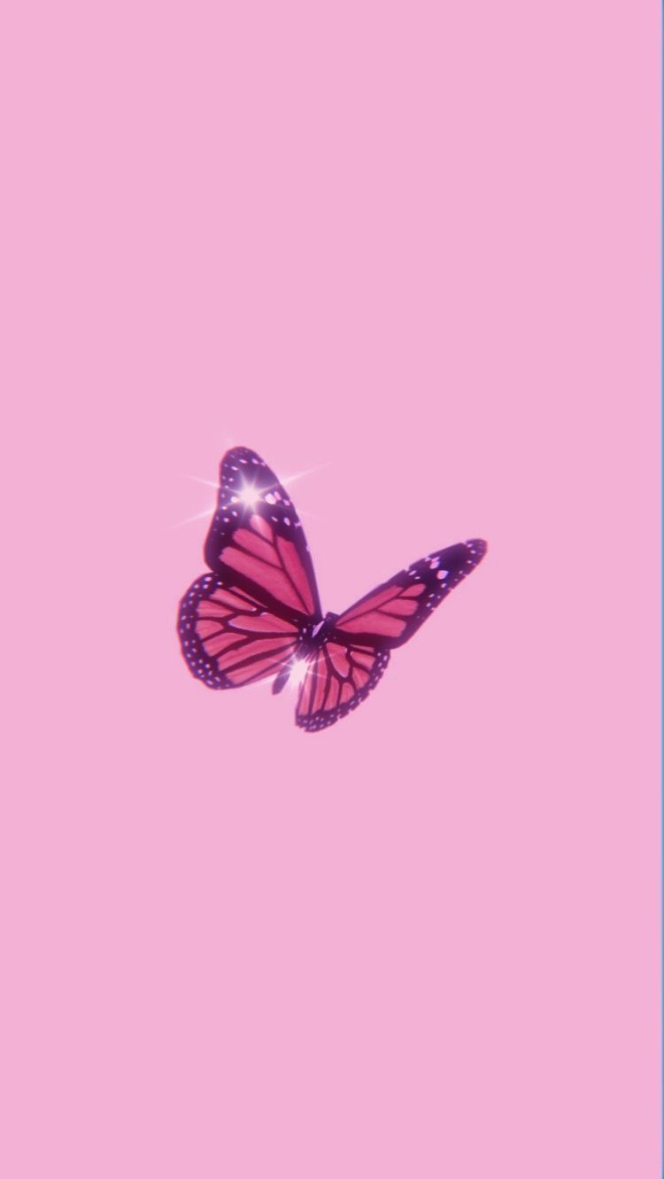 Dazzling butterfly. Pink wallpaper .com