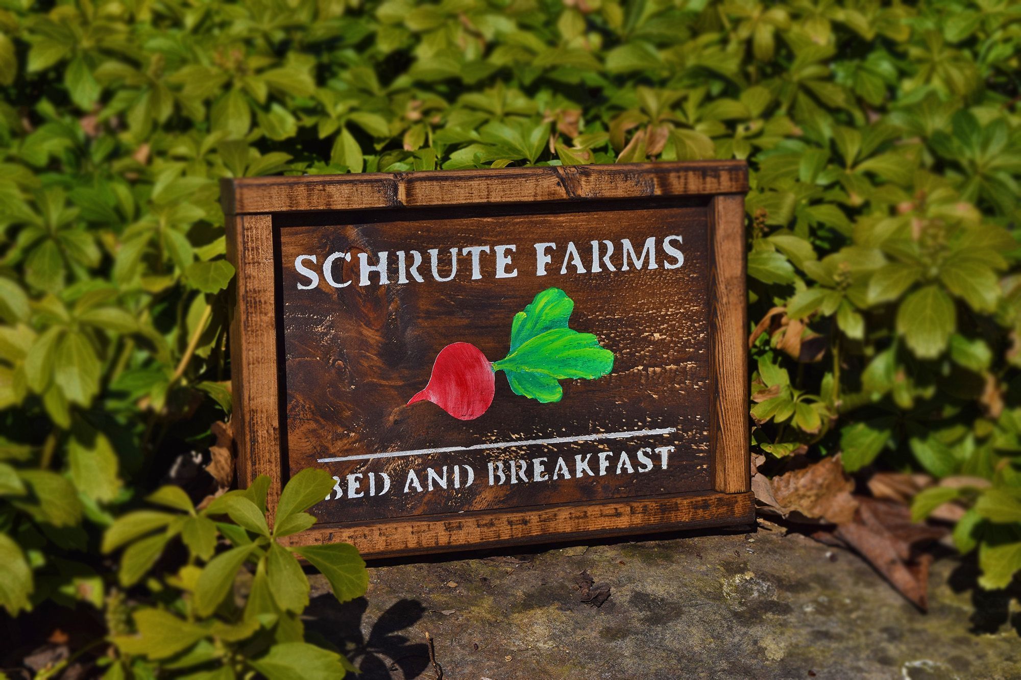 Wood Schrute Farms Sign Wooden Dwight Farm Signs Gift The Office TV Show Holiday Christmas Gift for Her Him Best Friend. Schrute farms, Farm signs, Office tv show