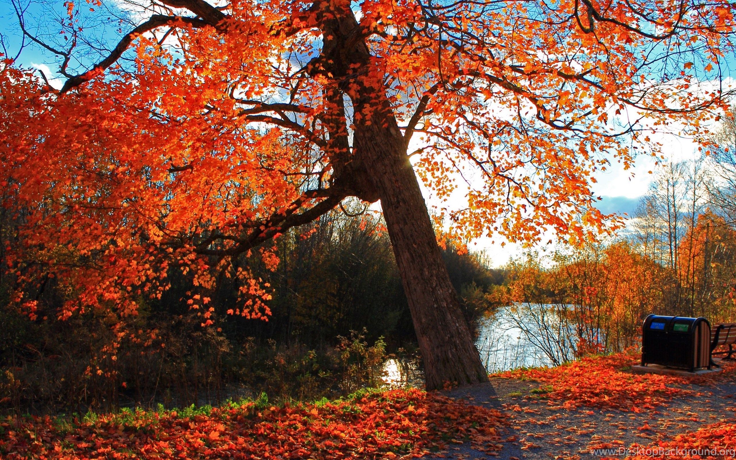 4K Ultra HD Autumn Wallpaper HD, Desktop Background 3840x2160 Desktop Background