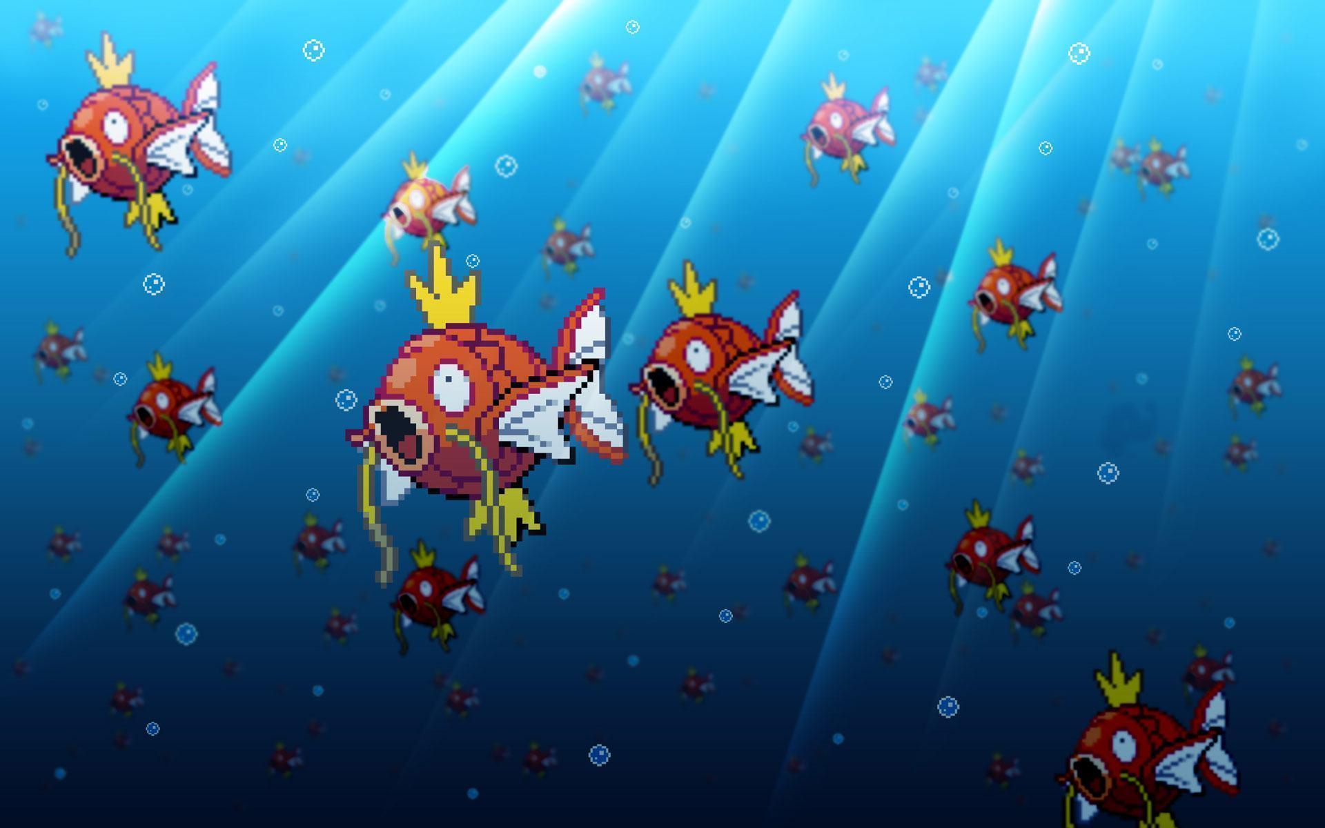 Magikarp Wallpaper