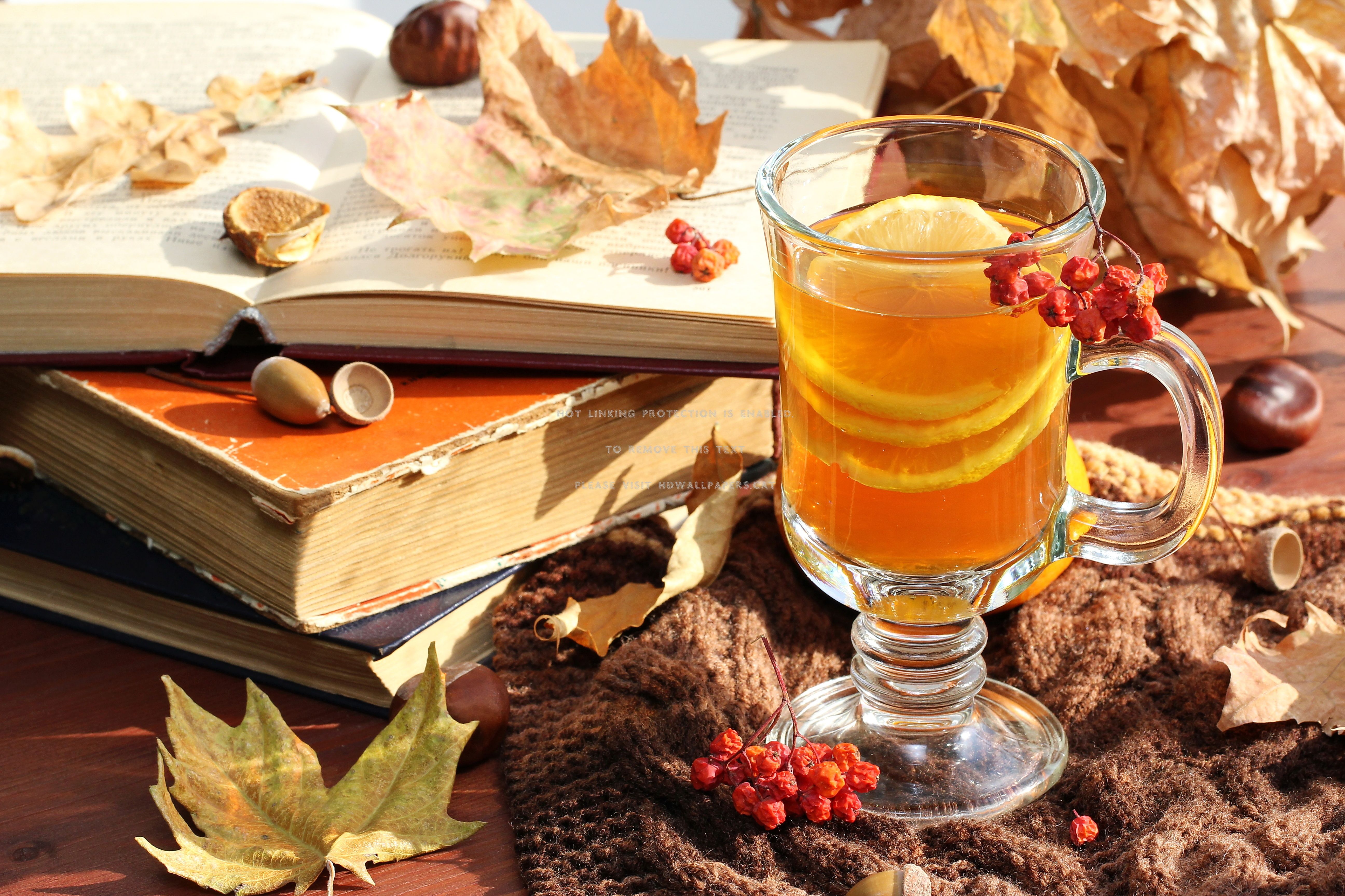 autumn tea acorns books fall leaves nuts