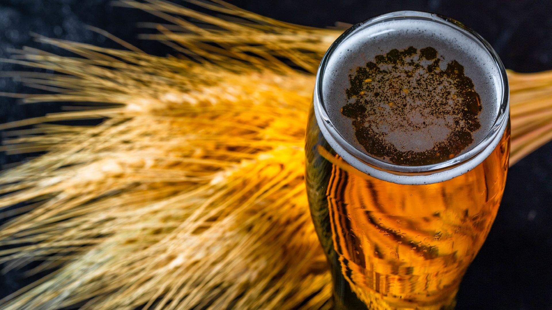 Beer Glass, Autumn Free Transparent Image HQ